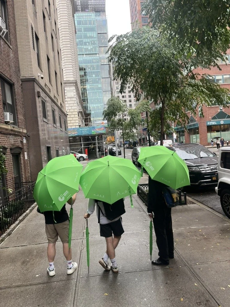 Transletting Walk through New York under green umbrellas