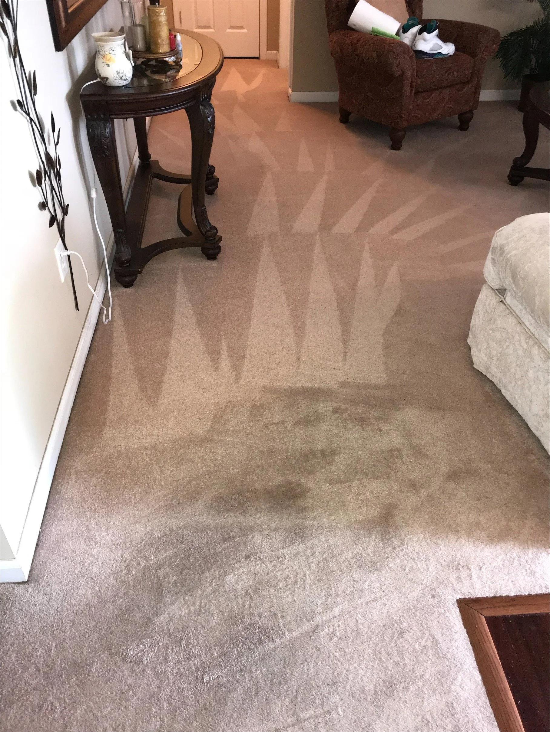 Carpet clean #2.jpg