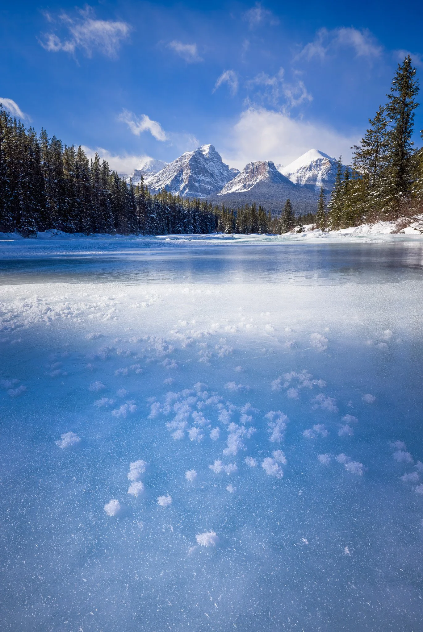 IceFlowers - Van Strohm.jpg
