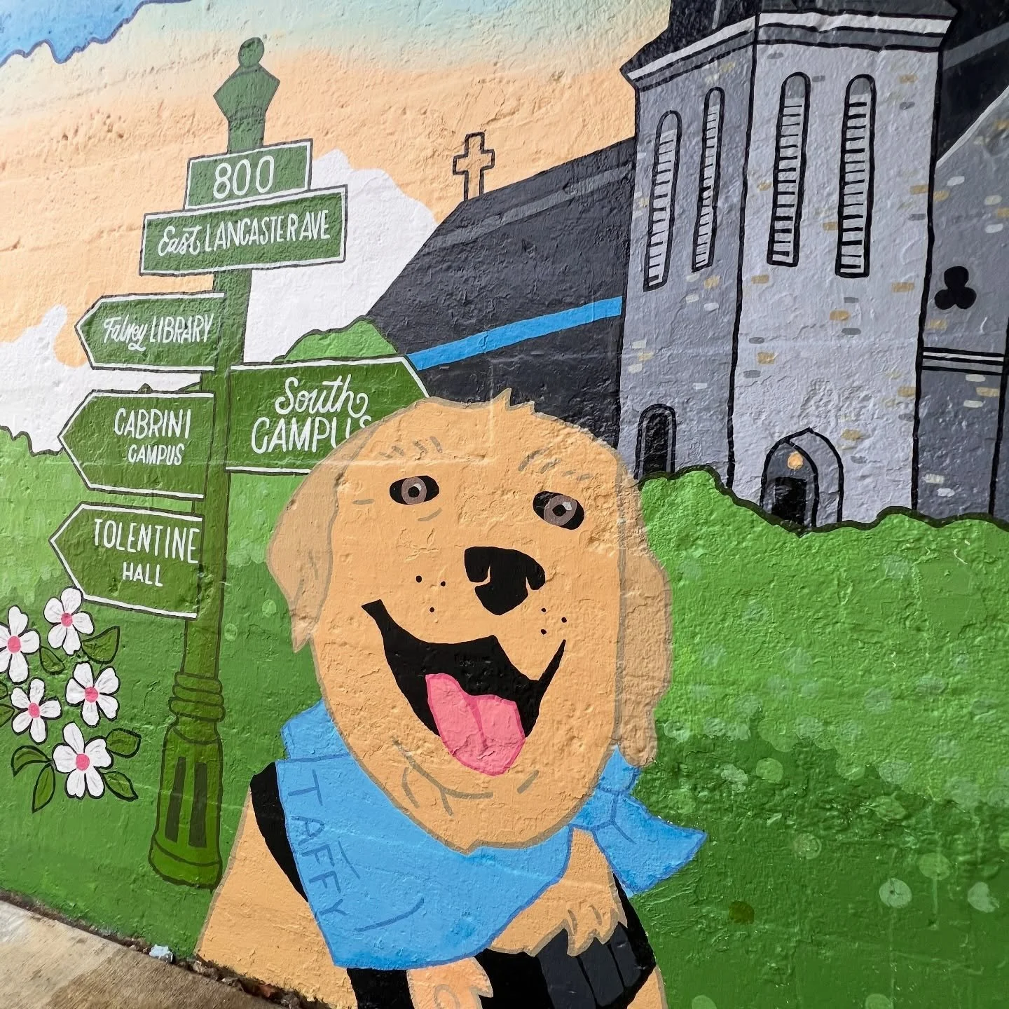 Pups 🦮 We don&rsquo;t deserve them! They are kind, loyal, and so fun to paint! 🎨 🐾🐶
.
.
#villanovauniversity #taffy #dogsofinstagram #muralpainting #taffythedog