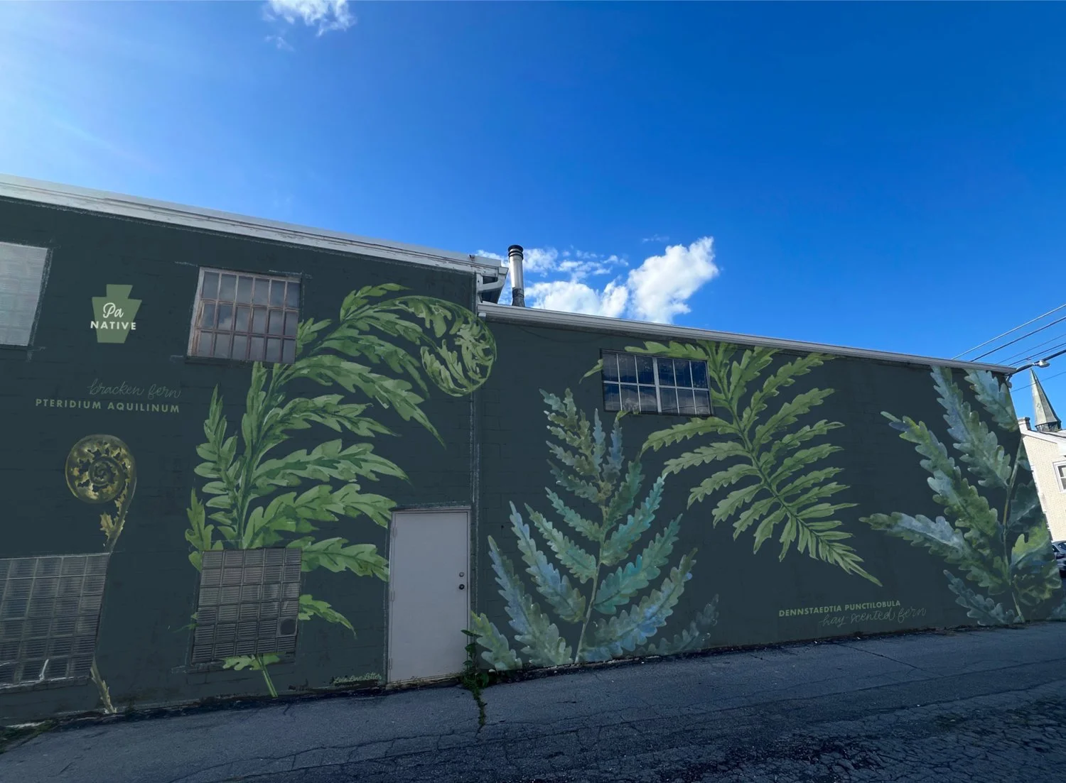 Mural of green fern leaves painted on a building wall under a blue sky with some clouds.