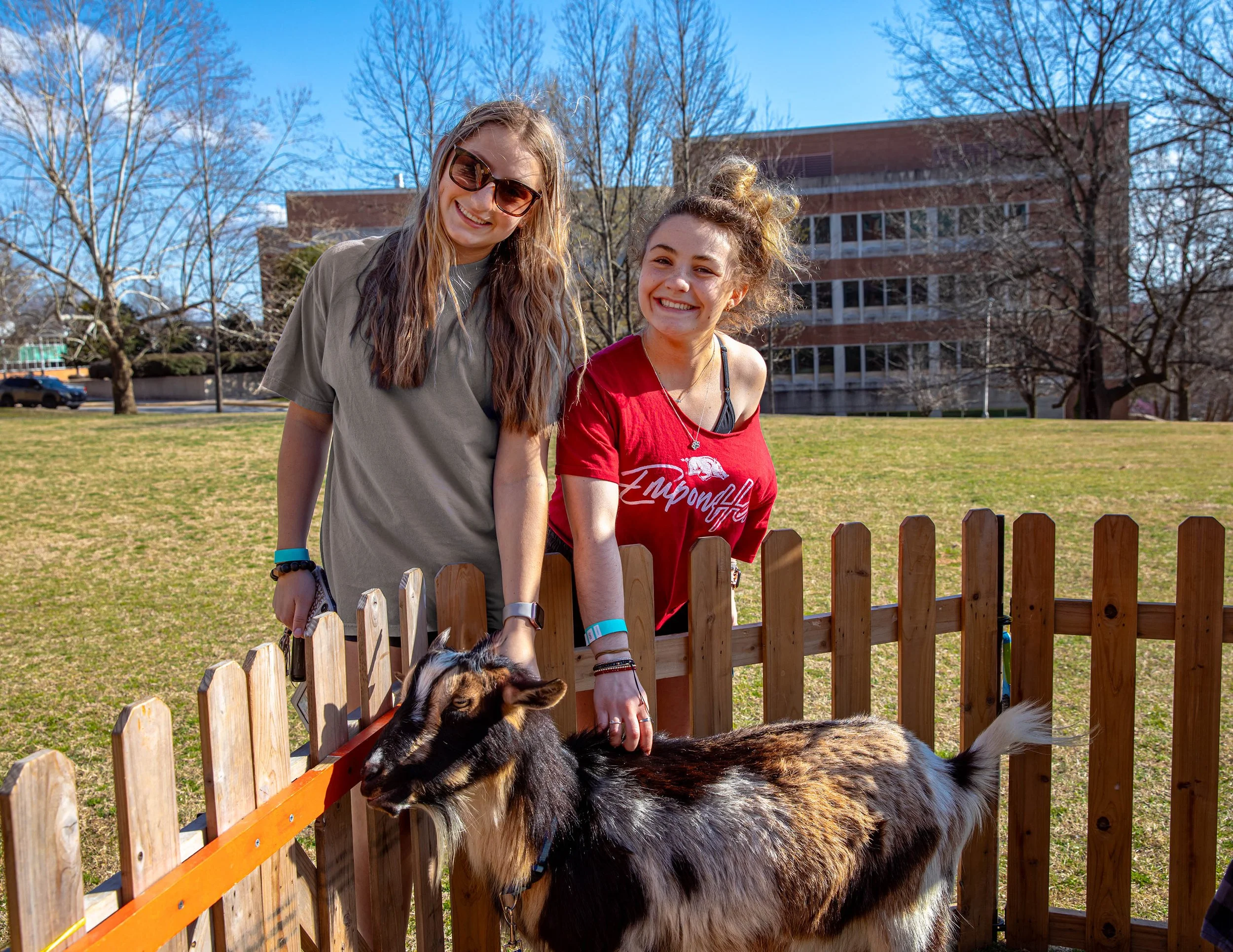 Goats and Yoga 2024-24.jpg