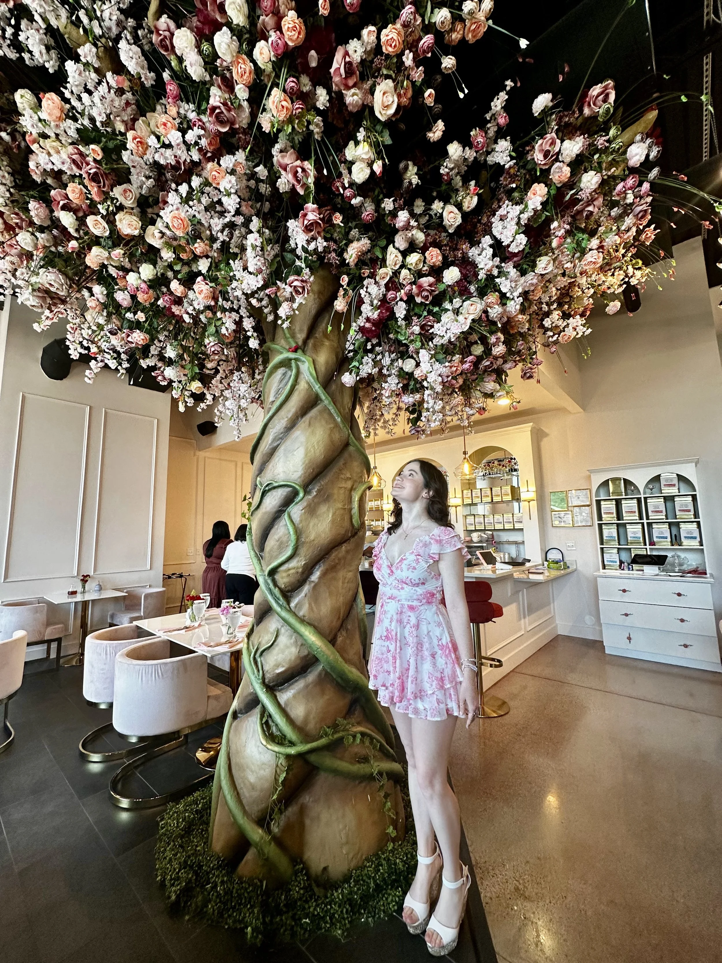 The Pink Flower Tree!