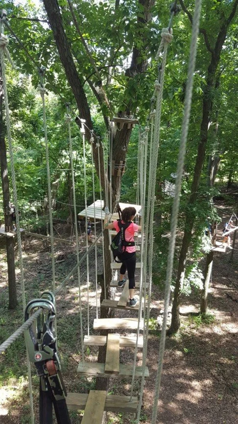 Walking Across Swings