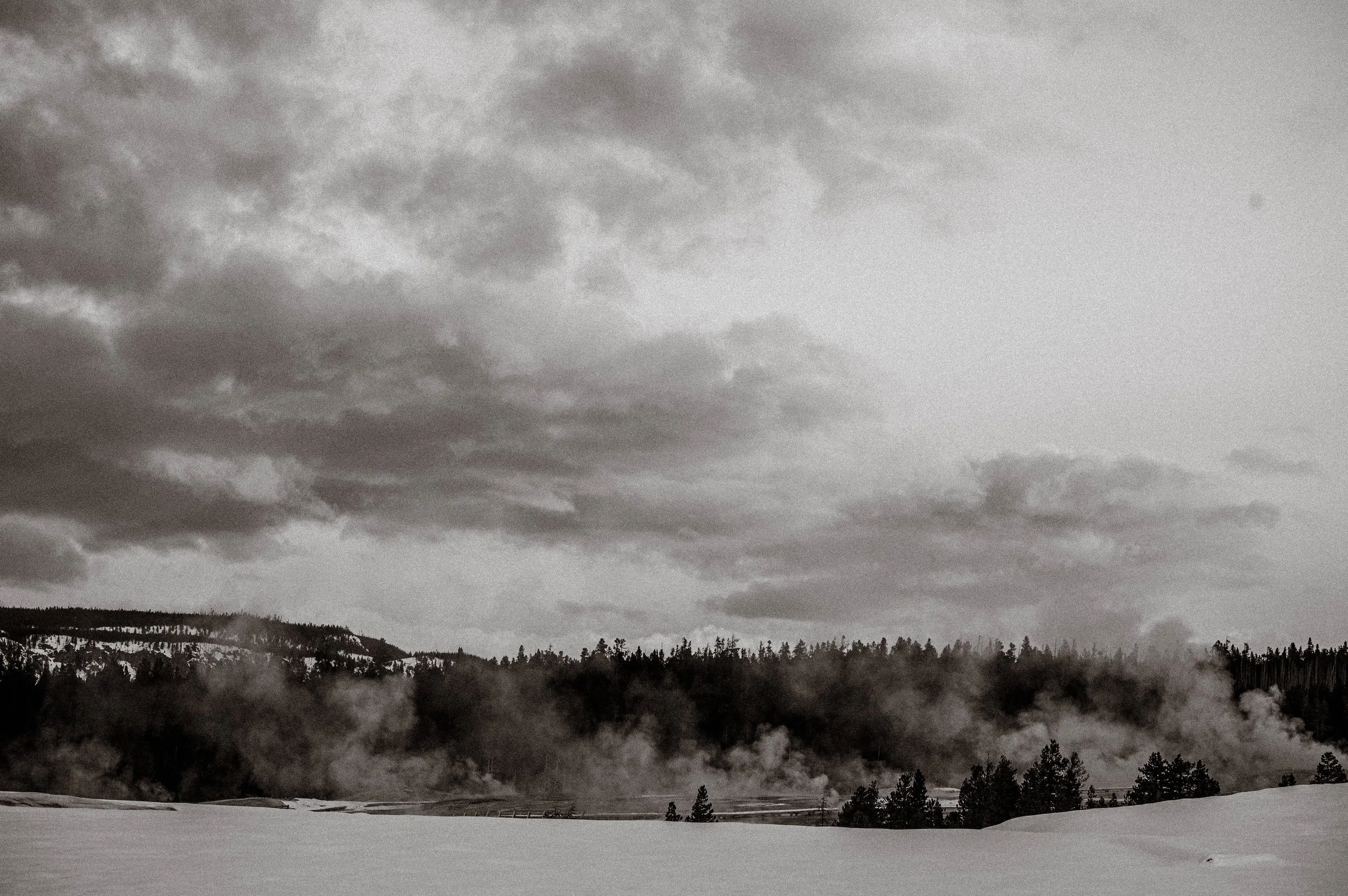 Snow-covered landscape with a forest in the distance, steam rising from hot springs, and cloudy sky overhead.