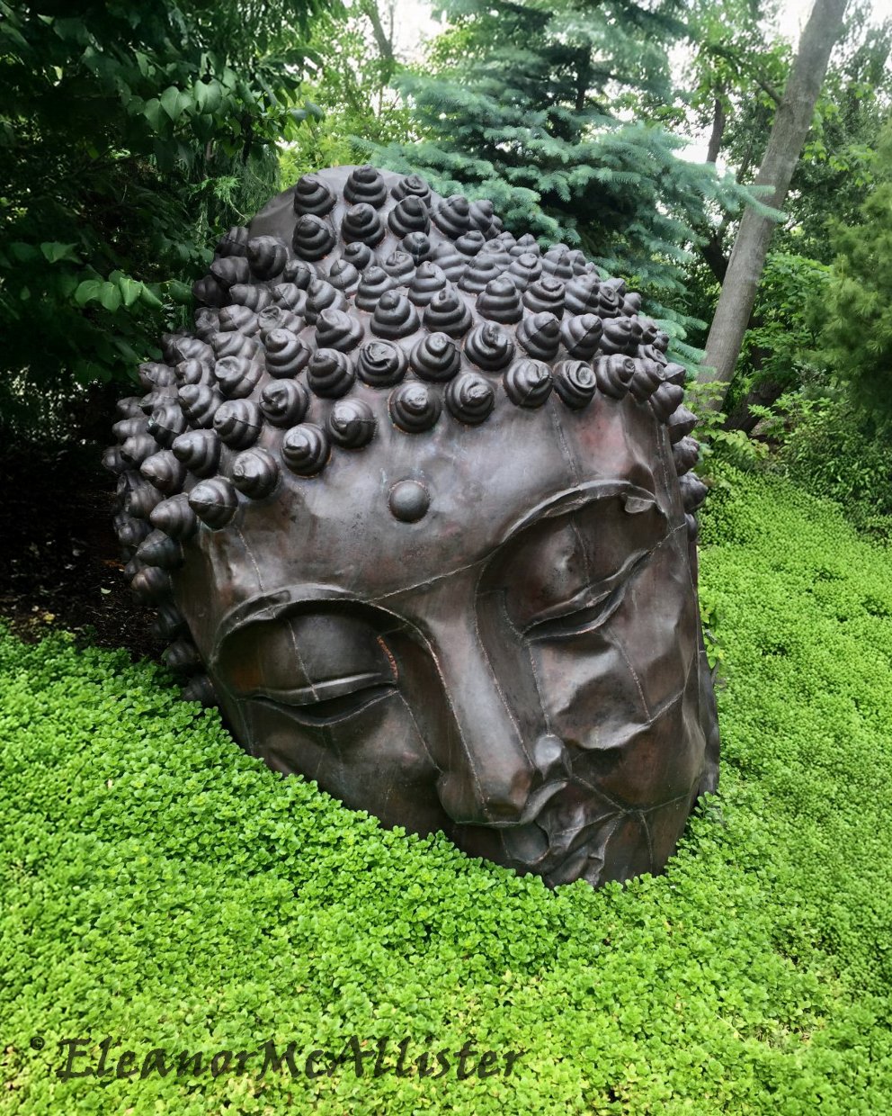 2025_04_24_budda_photo_McAllister-2.jpg