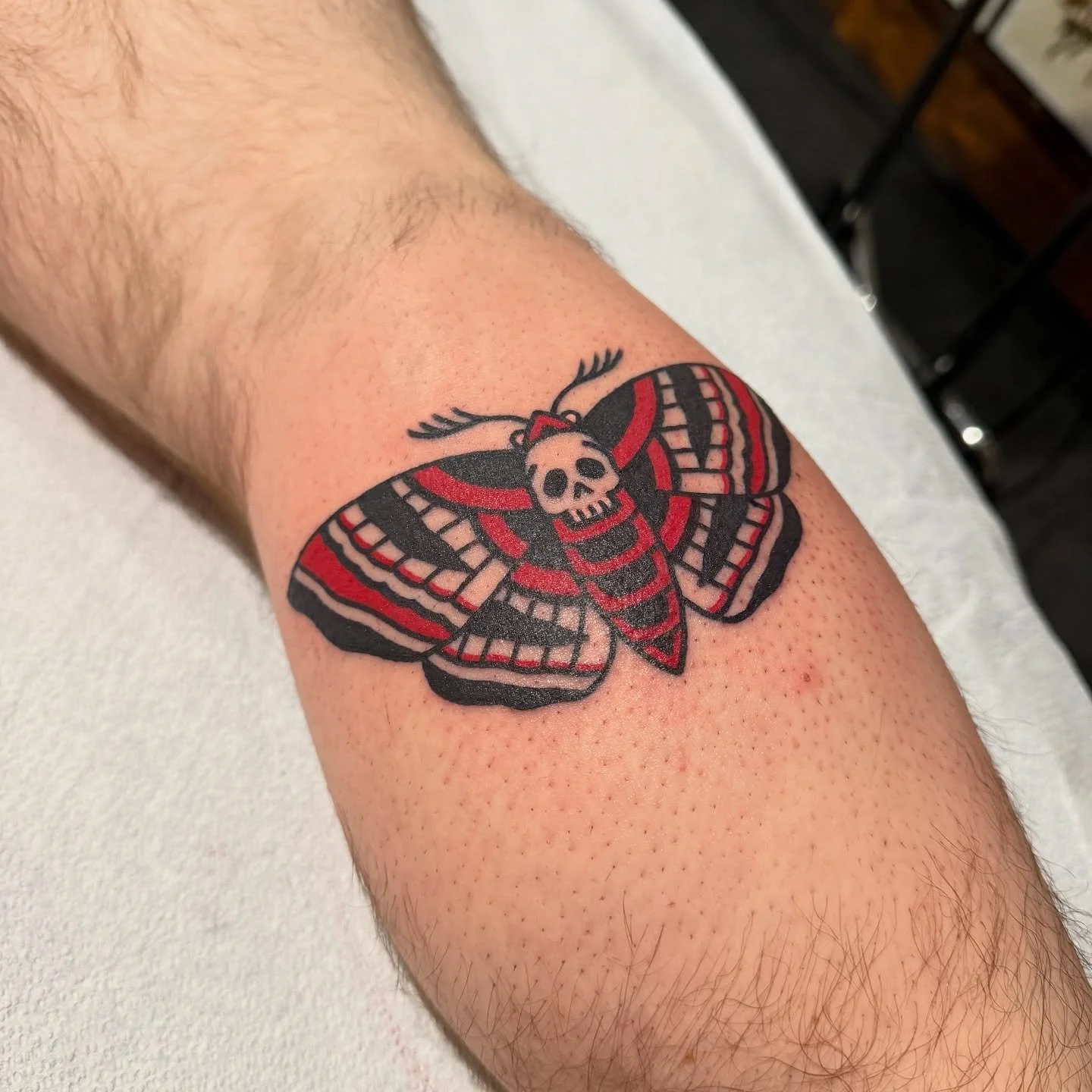 Collection of bugs for your viewing pleasure made right here at ⚜️LTT⚜️ over the past few months. Most are off my walls of flash but always open to drawing up something unique! Hit the Hyper Tattoo link in bio to book an appt or DM to inquire about a