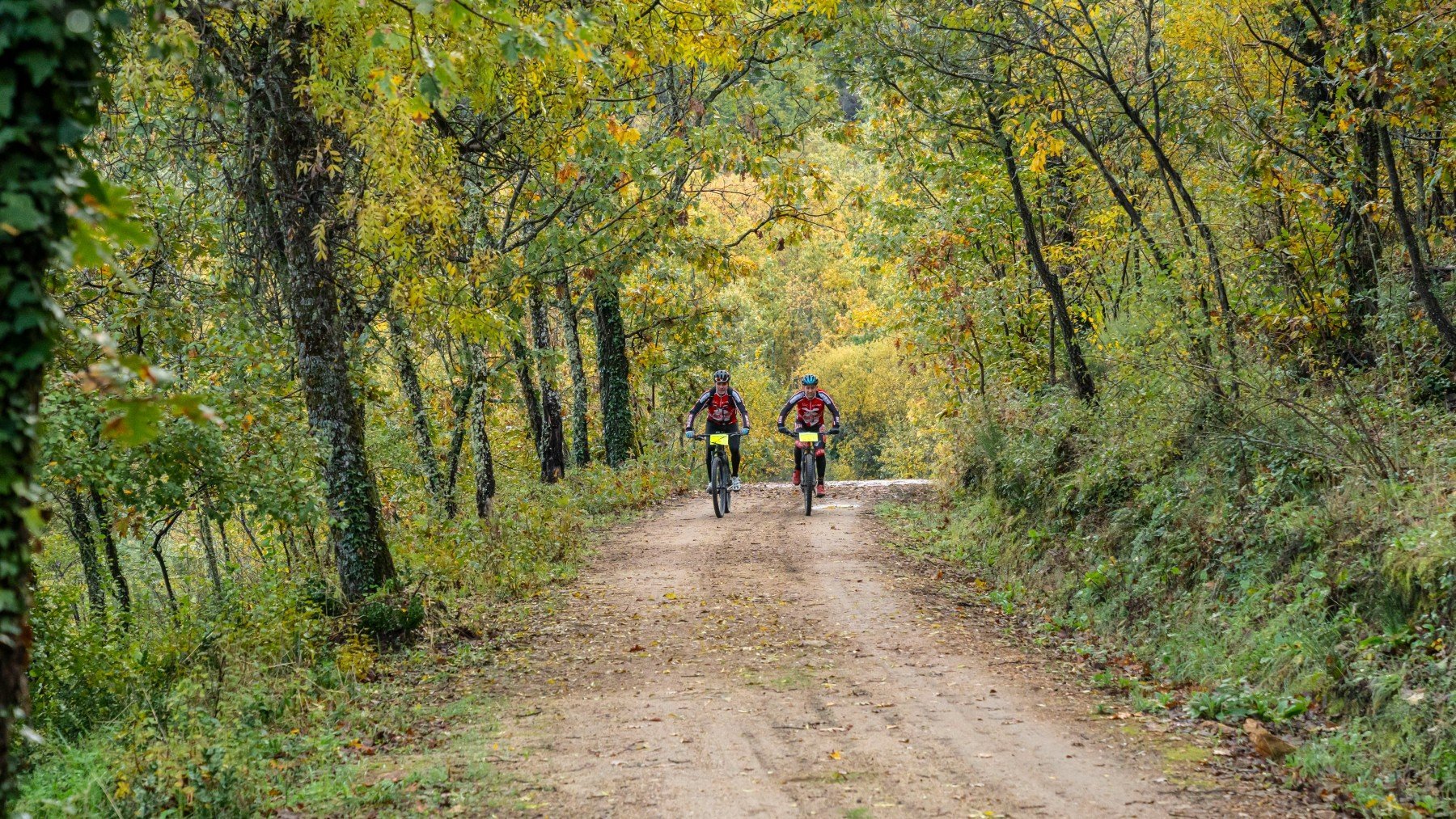 Marcha BTT Caminos del Ambroz