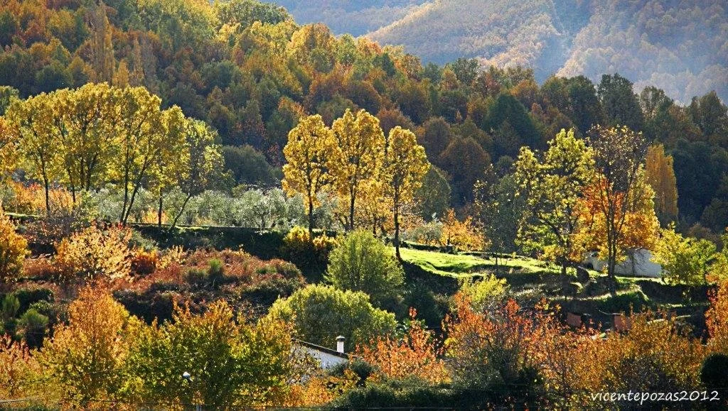 otoo-mgico-hervs-valle-del-ambroz_vicente-pozas.jpg