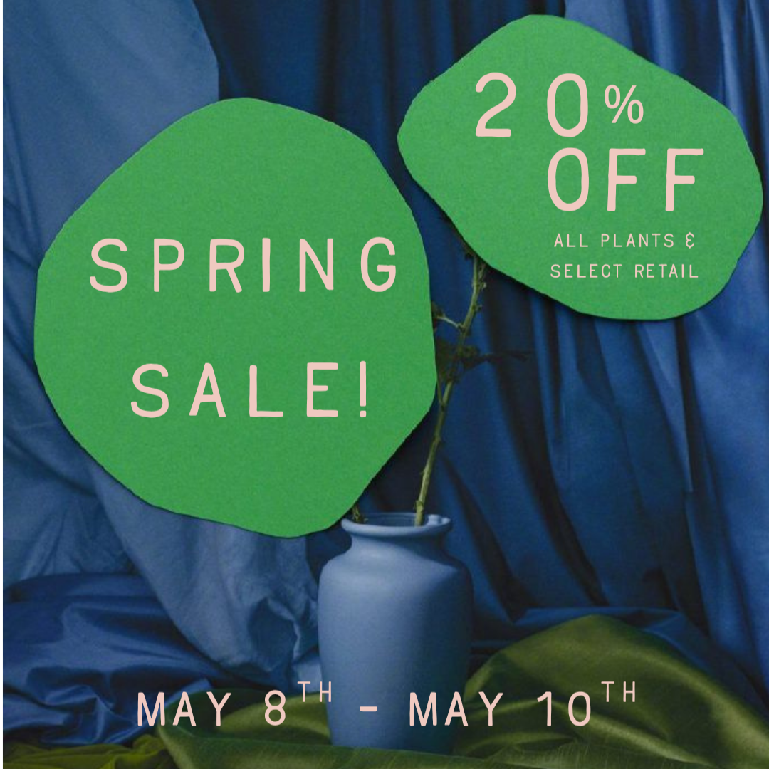Spring Sale