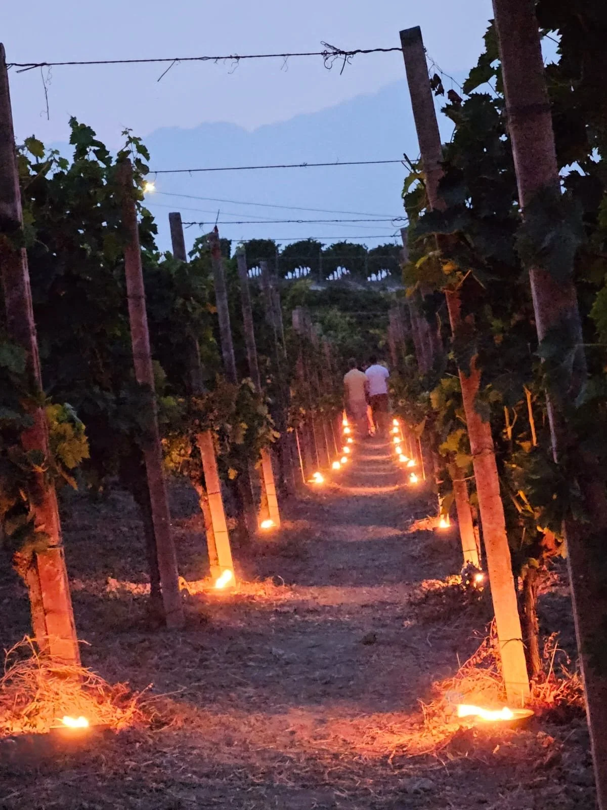 Blog 2 Castel Rocchero in lume