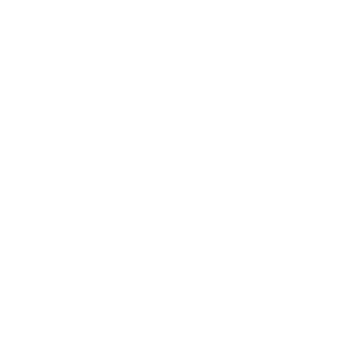 North x North 2022