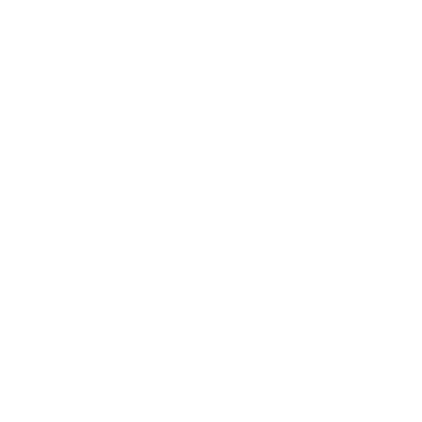 Image Nation