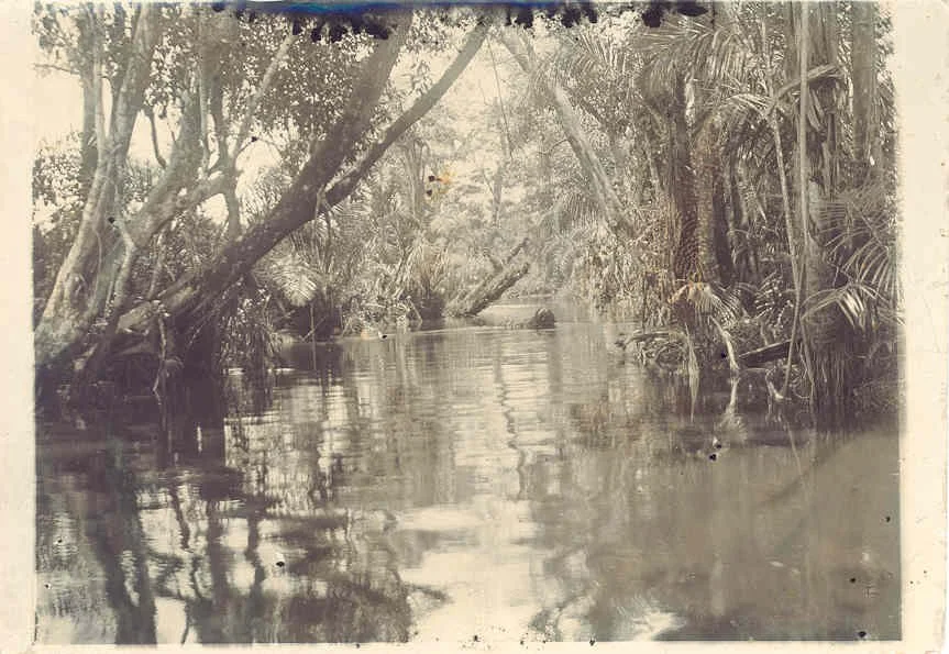brompe river, sierra leone © otterbein university.