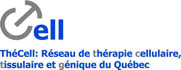 bronze sponsor
