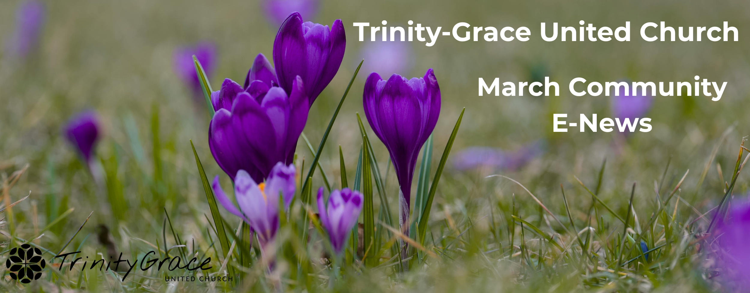 March Community    E-News