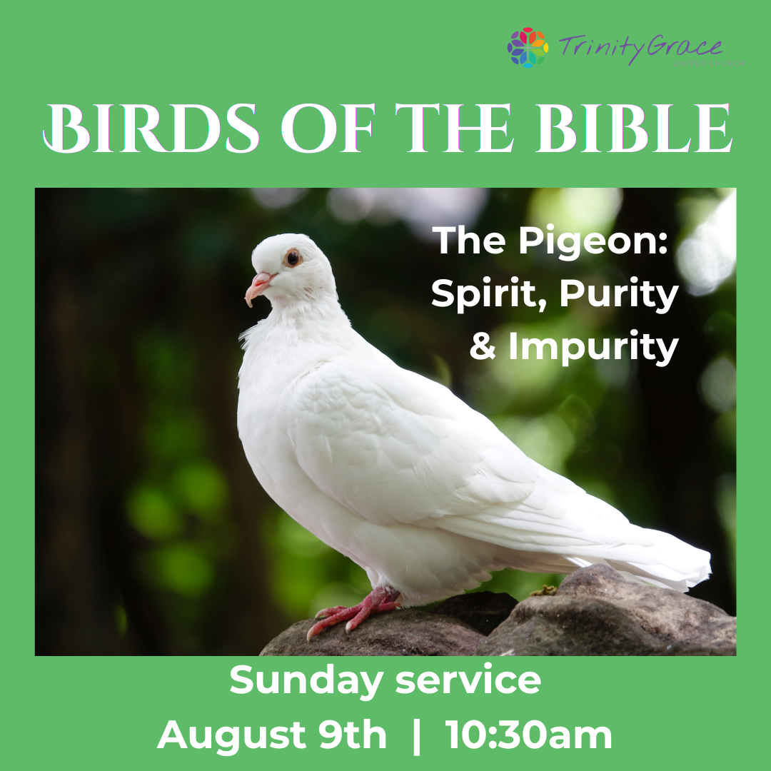 August 9: “The Pigeon: Spirit, Purity and Impurity” - Birds of the Bible Sermon Series (Week 1)