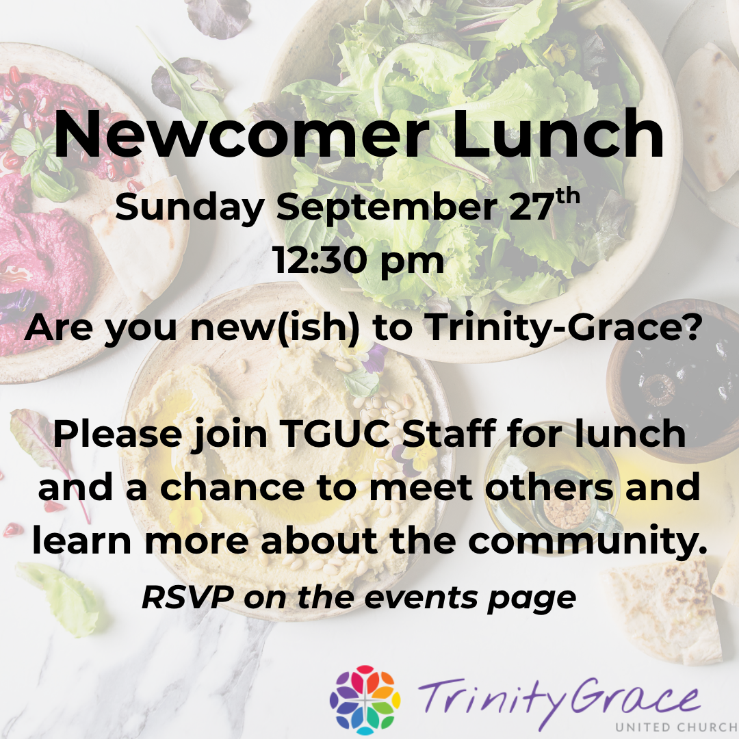 Newcomer Lunch