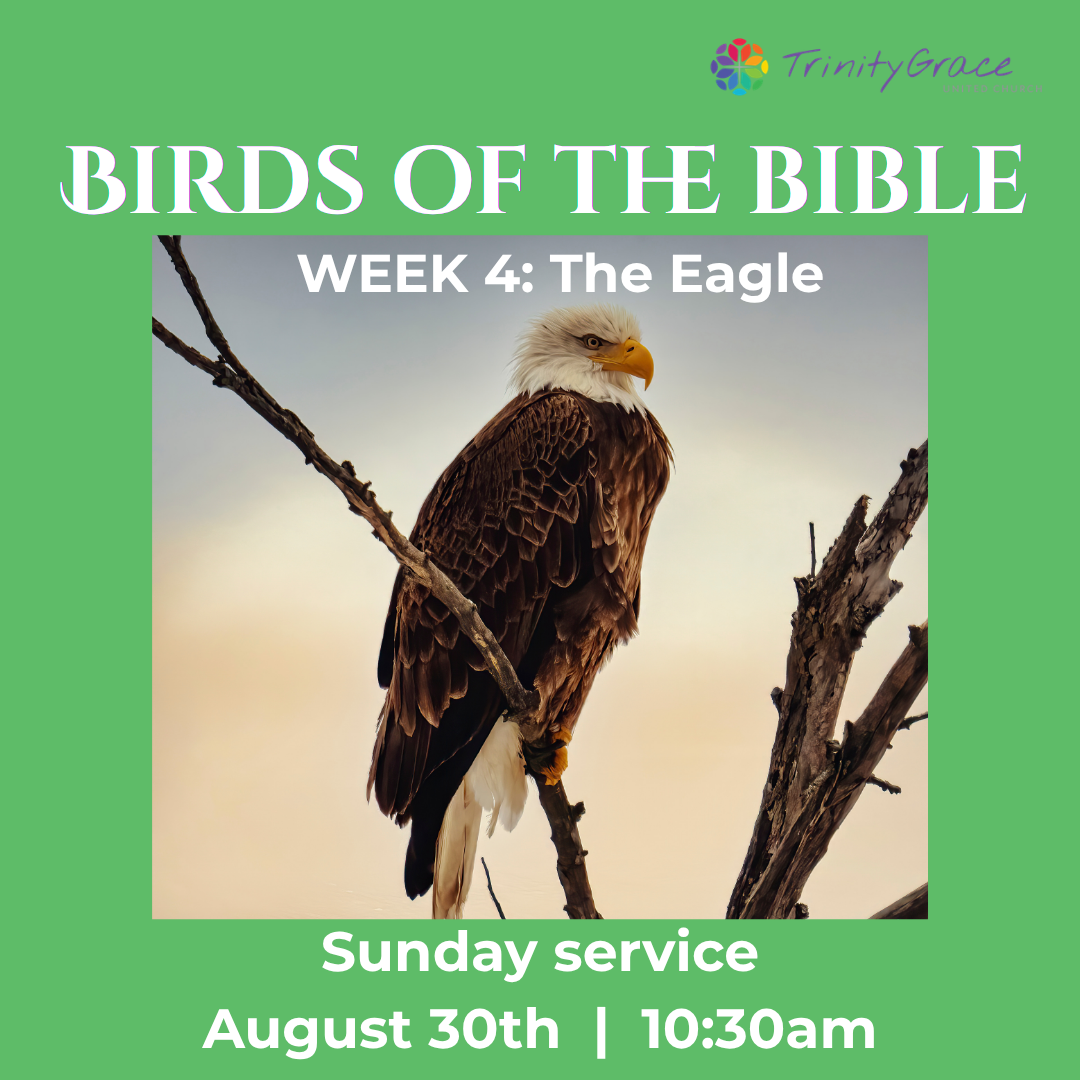 Aug 30: “The Eagle: Power and Vulnerability”