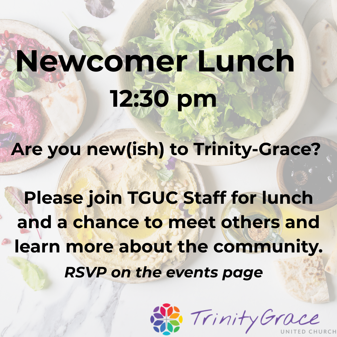 Newcomer Lunch