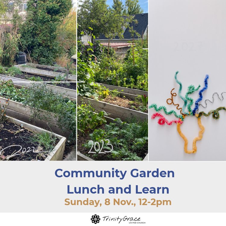 Growing Together: A Community Garden Lunch and Learn