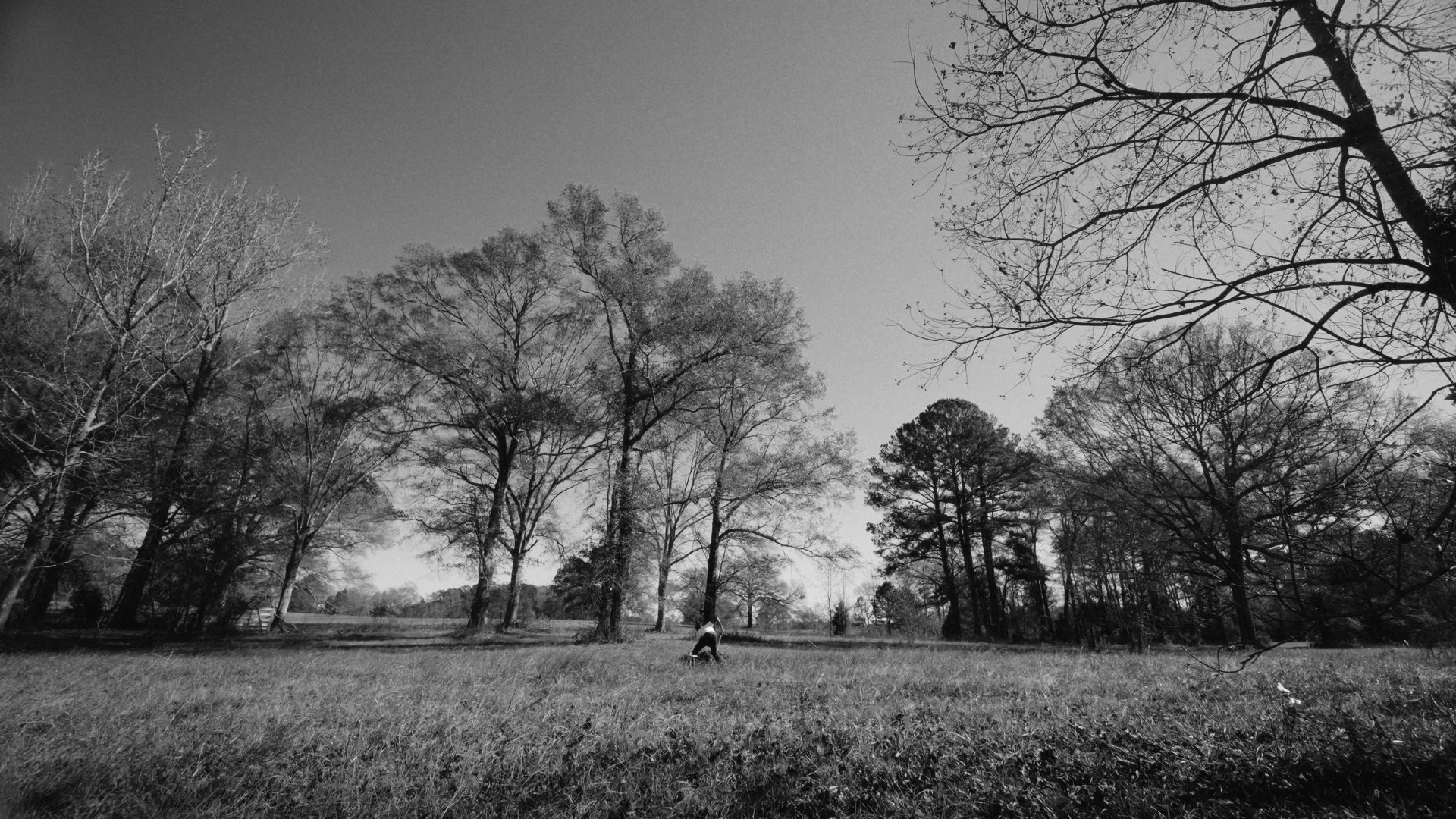 Timeline 1_00_01_28_16.jpg