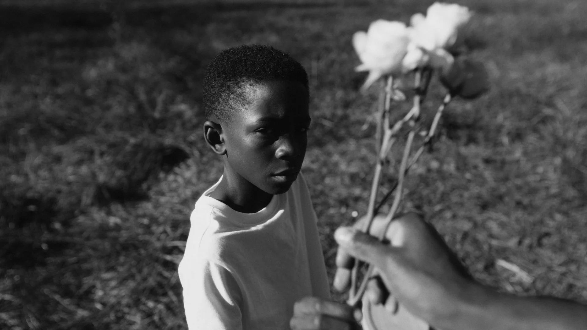 Timeline 1_00_18_16_21.jpg