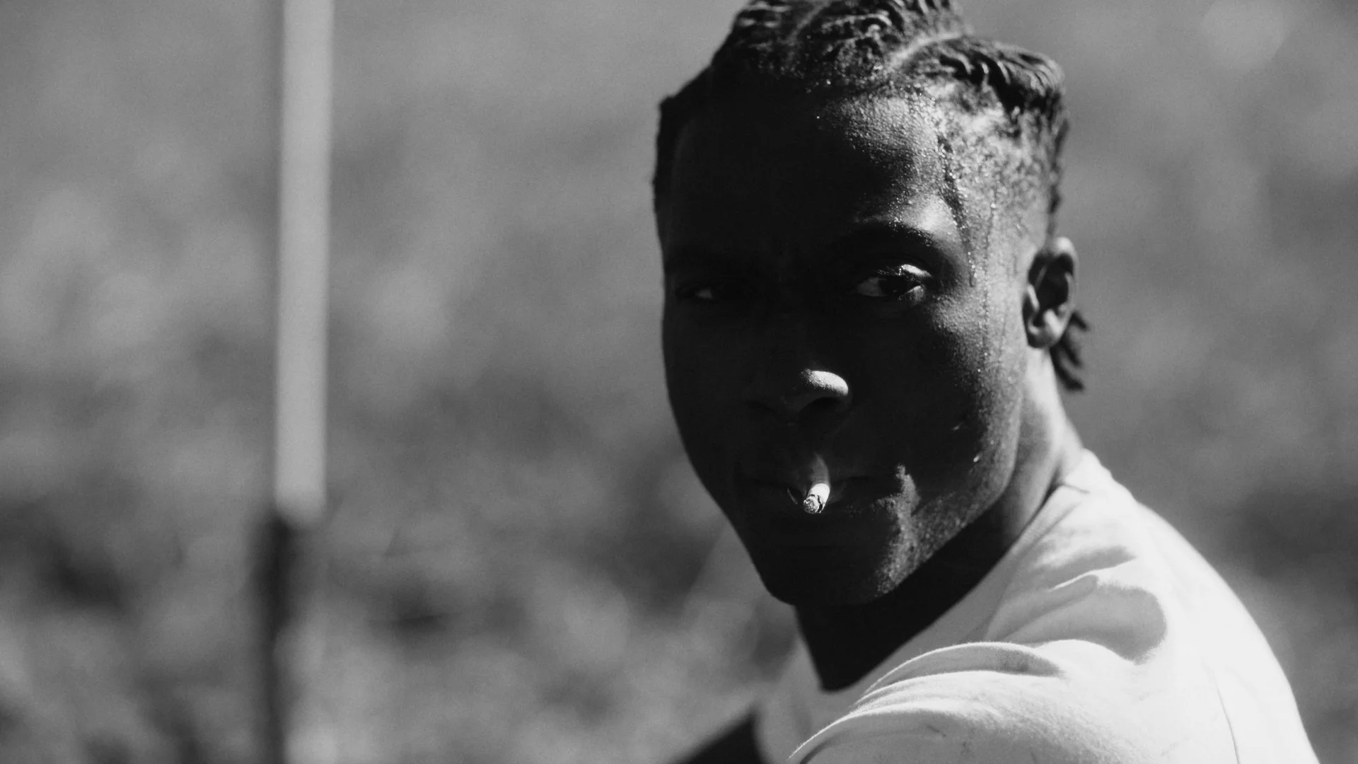 Timeline 1_00_12_01_15.jpg