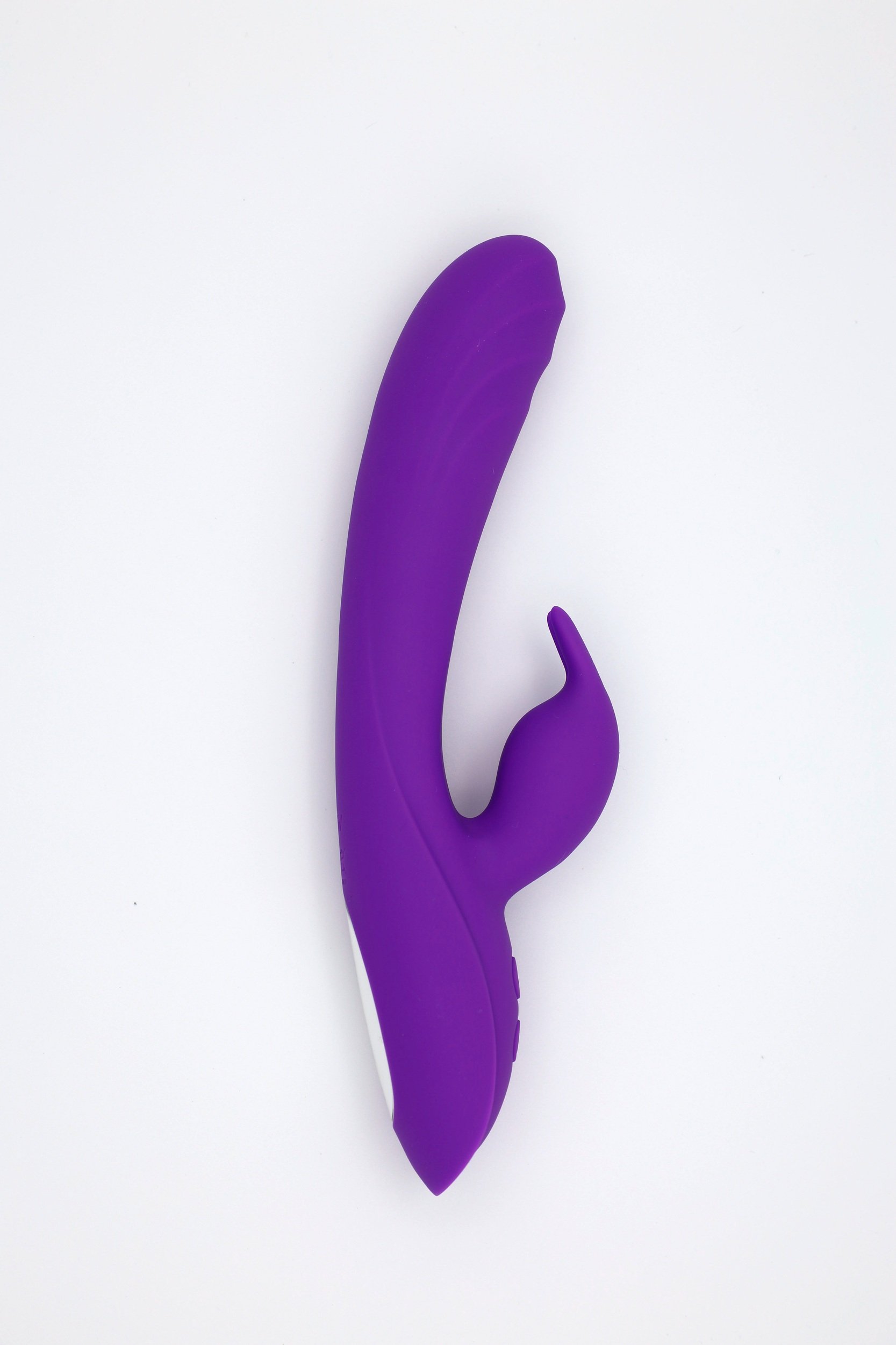RABIT1_PURPLE.jpg