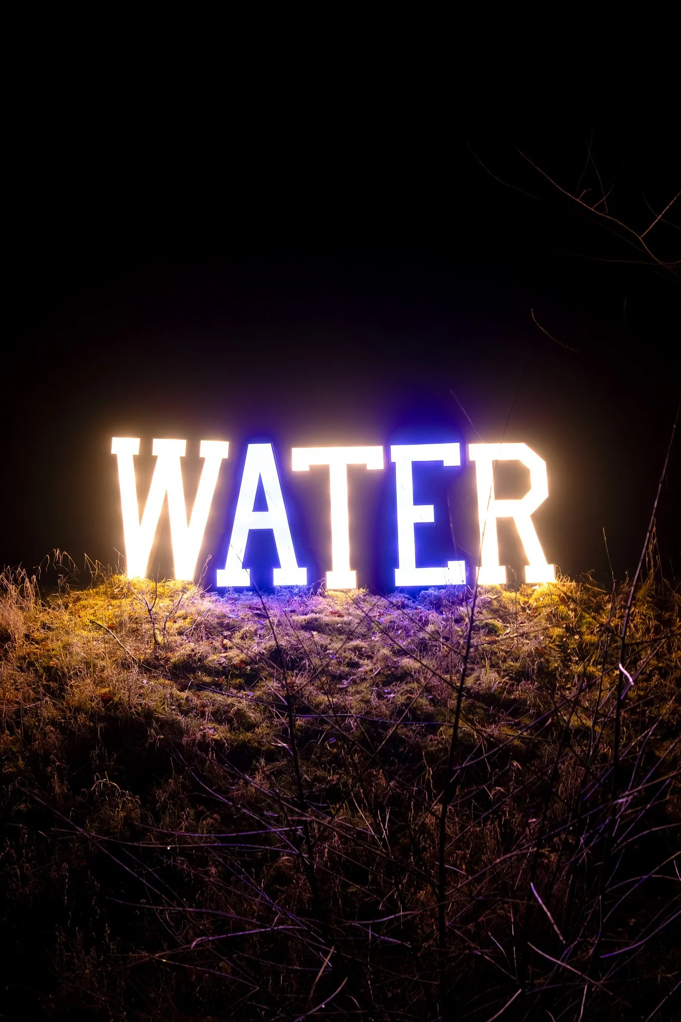 Verlichte neonletters die het woord 'WATER' spellen, geplaatst op de grond in een donkere omgeving met laag gras en dieprode takken.