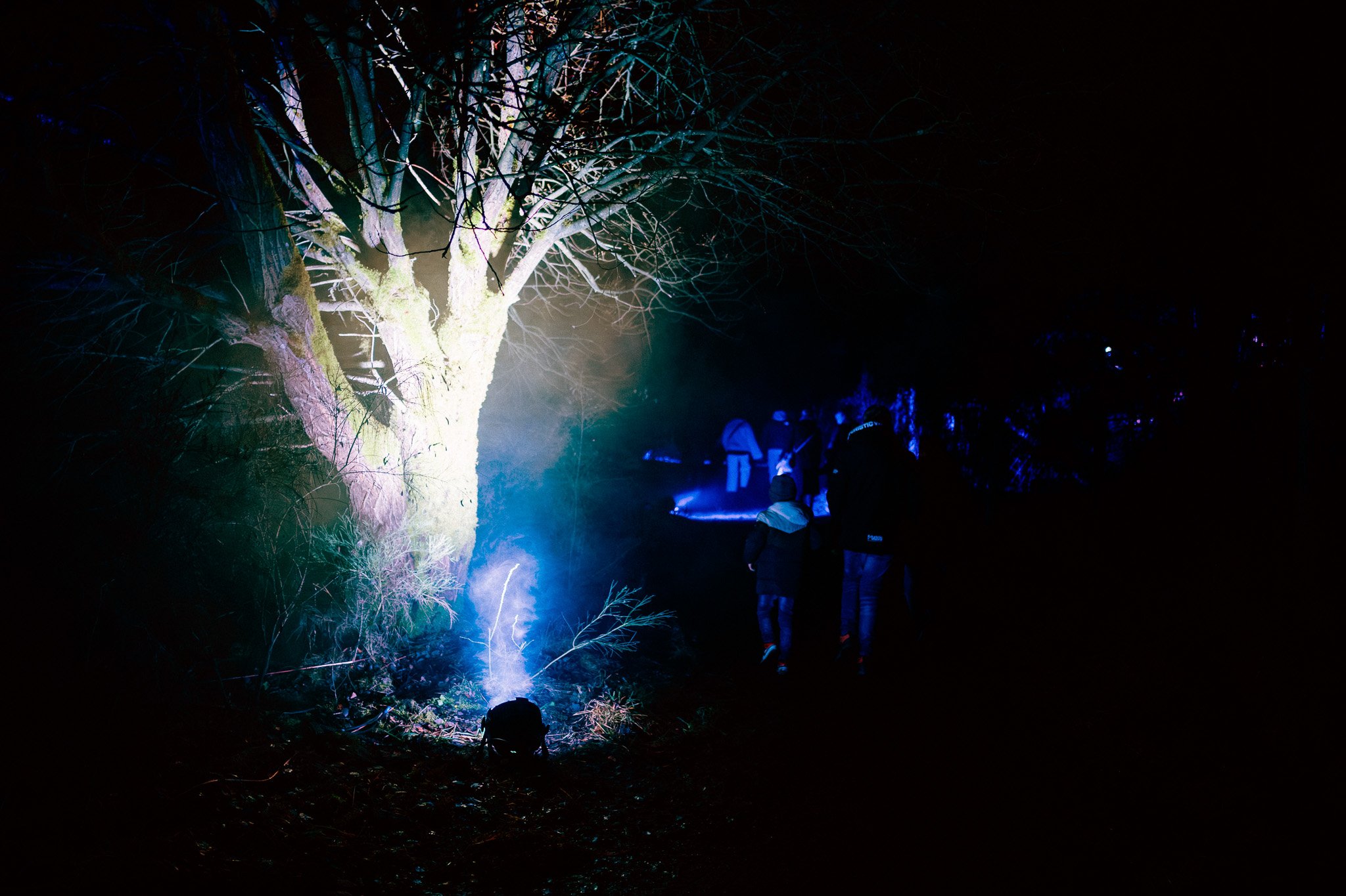 Mensen kijken naar een verlicht kerstboom in het donker, met verschillende lichten en muziek.