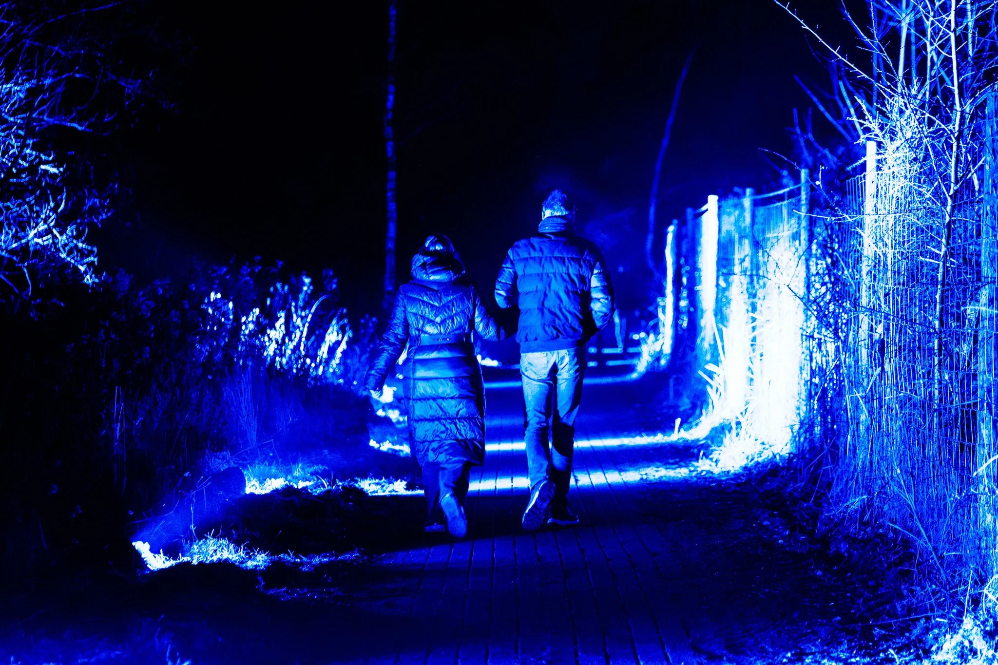 Twee mensen wandelen 's nachts langs een pad versierd met blauwe lichten, omgeven door bomen en hekwerken.