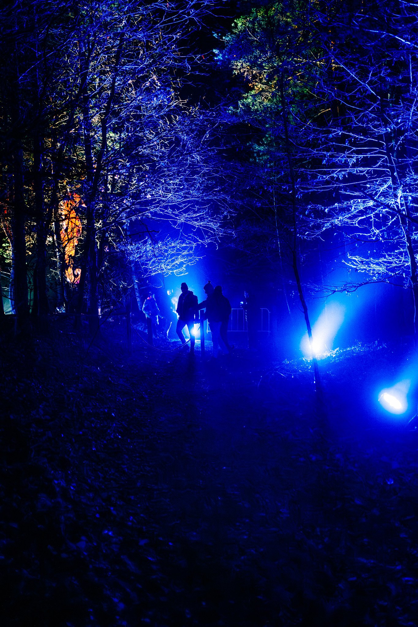 Mensen wandelen door een bos vol met blauwe lichtinstallaties 's nachts.