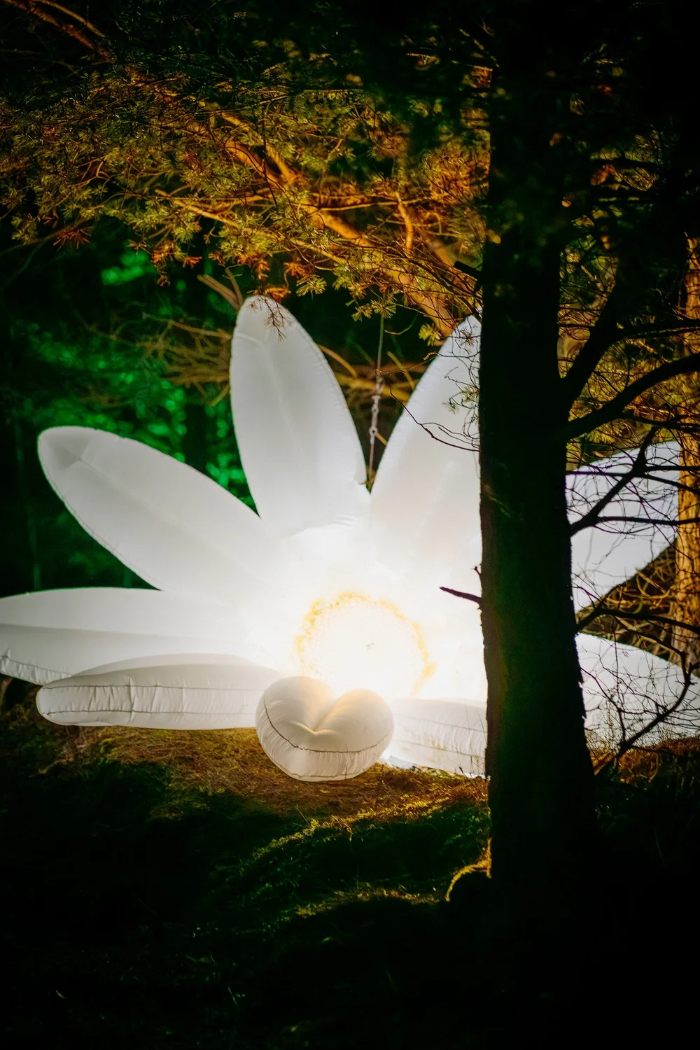 Foto 88: Aardegedeelte van Luminoctis met groen licht, organische vormen en natuurlijke installaties.