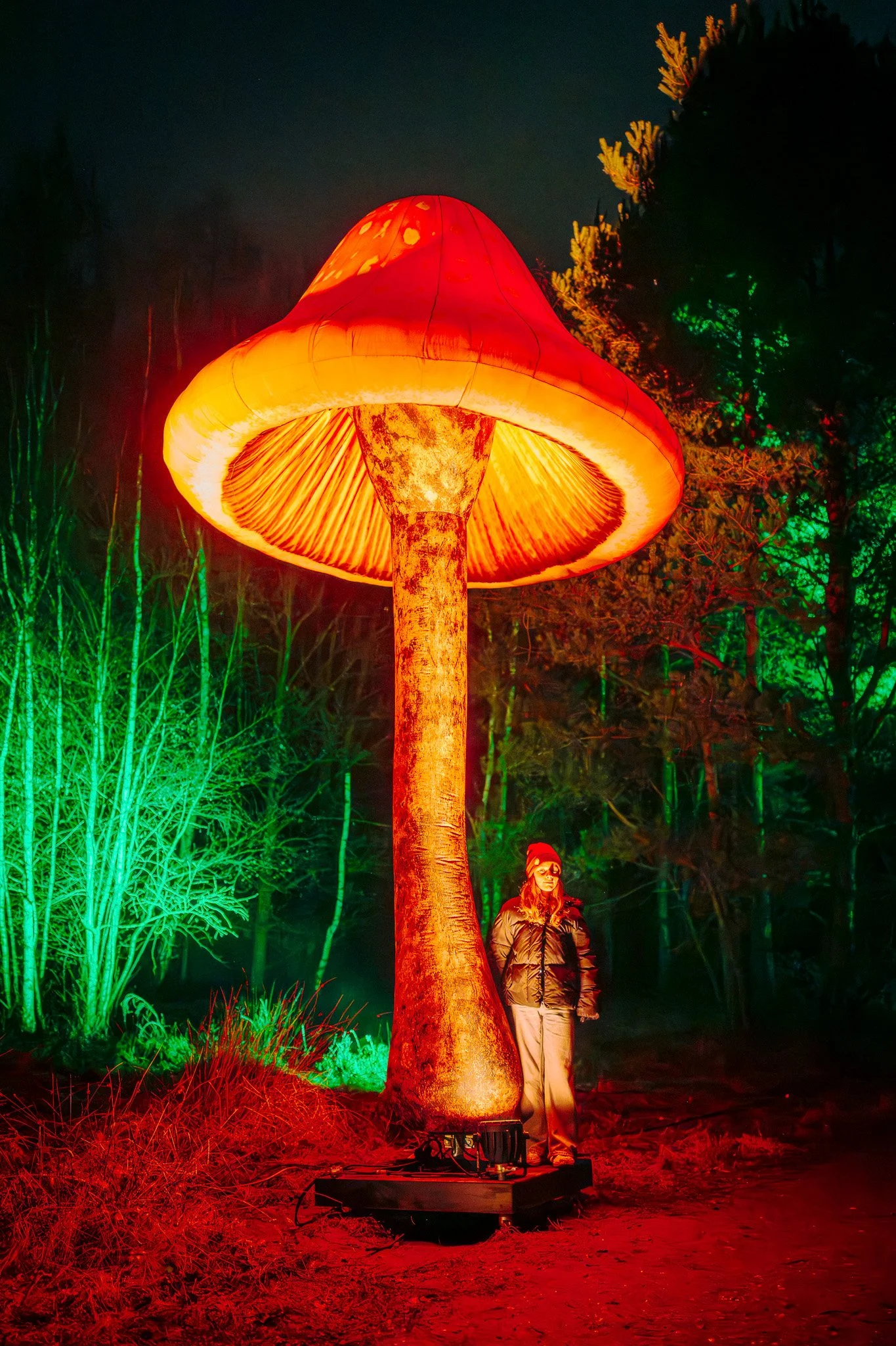 Groot, verlichte paddestoel in een nachtelijk bos met een vrouw ernaast, omringd door gekleurd licht, groene en rode verlichting op de planten en bomen.