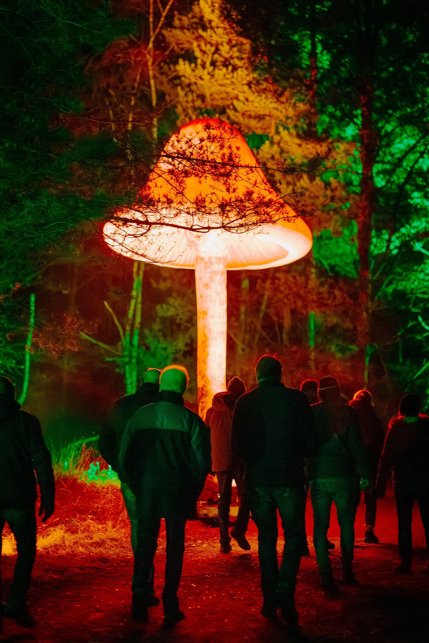 Mensen lopen in een bos in de schemering of 's nachts onder een grote, gloeiende paddenstoel die fel oranje en wit is, omringd door groene en gouden lichten en dichte bomen.