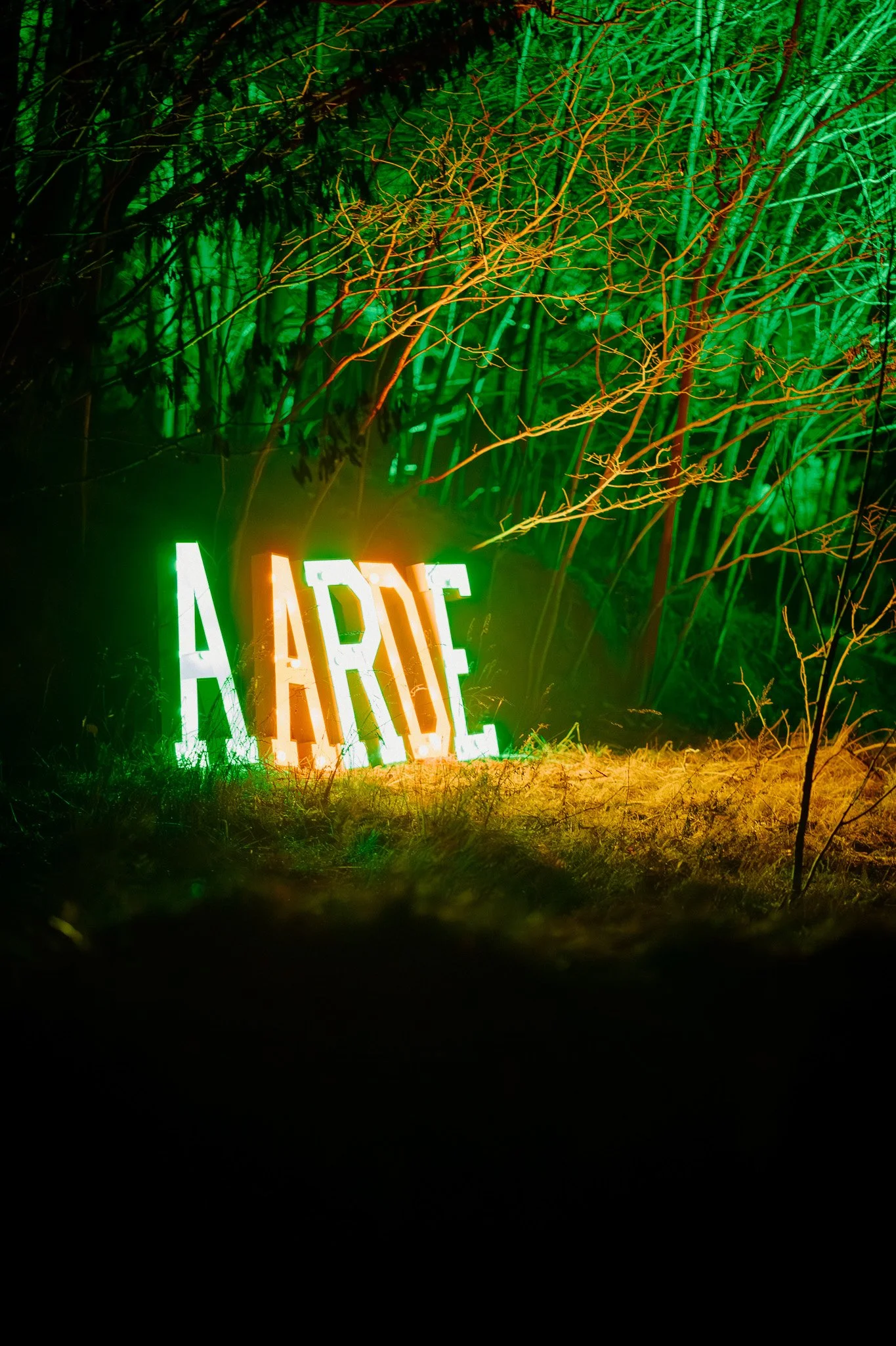 Verlichte groene en witte letters die aanspraak maken op de naam 'ARTE', omgeven door bamboe in een nachtelijke setting.