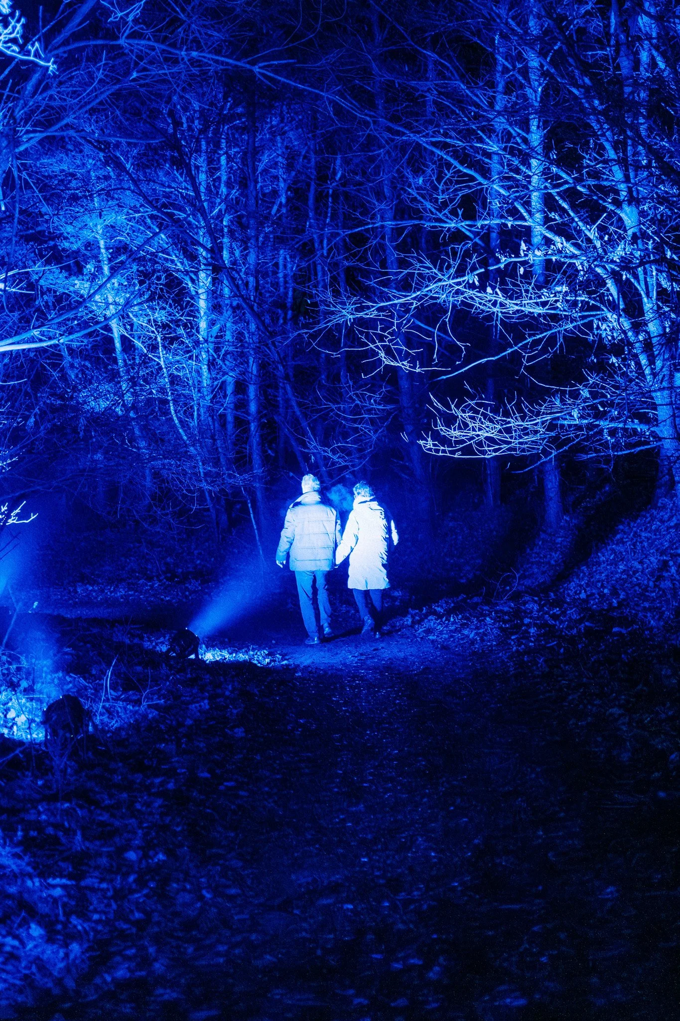 Twee personen lopen hand in hand door een bos met bomen die verlicht zijn door blauwe lichten, 's nachts.