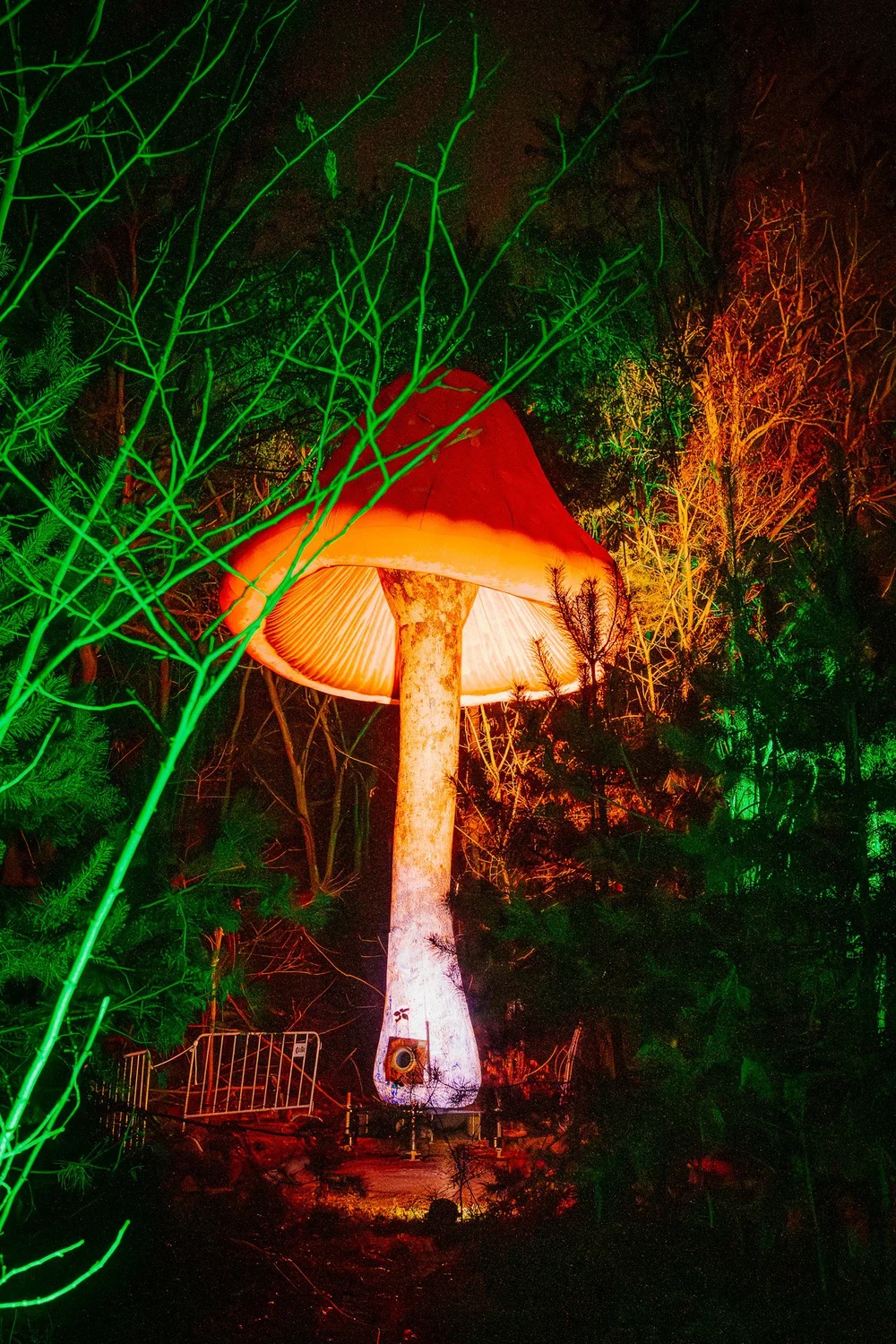 Foto 85: Aardegedeelte van Luminoctis met groen licht, organische vormen en natuurlijke installaties.