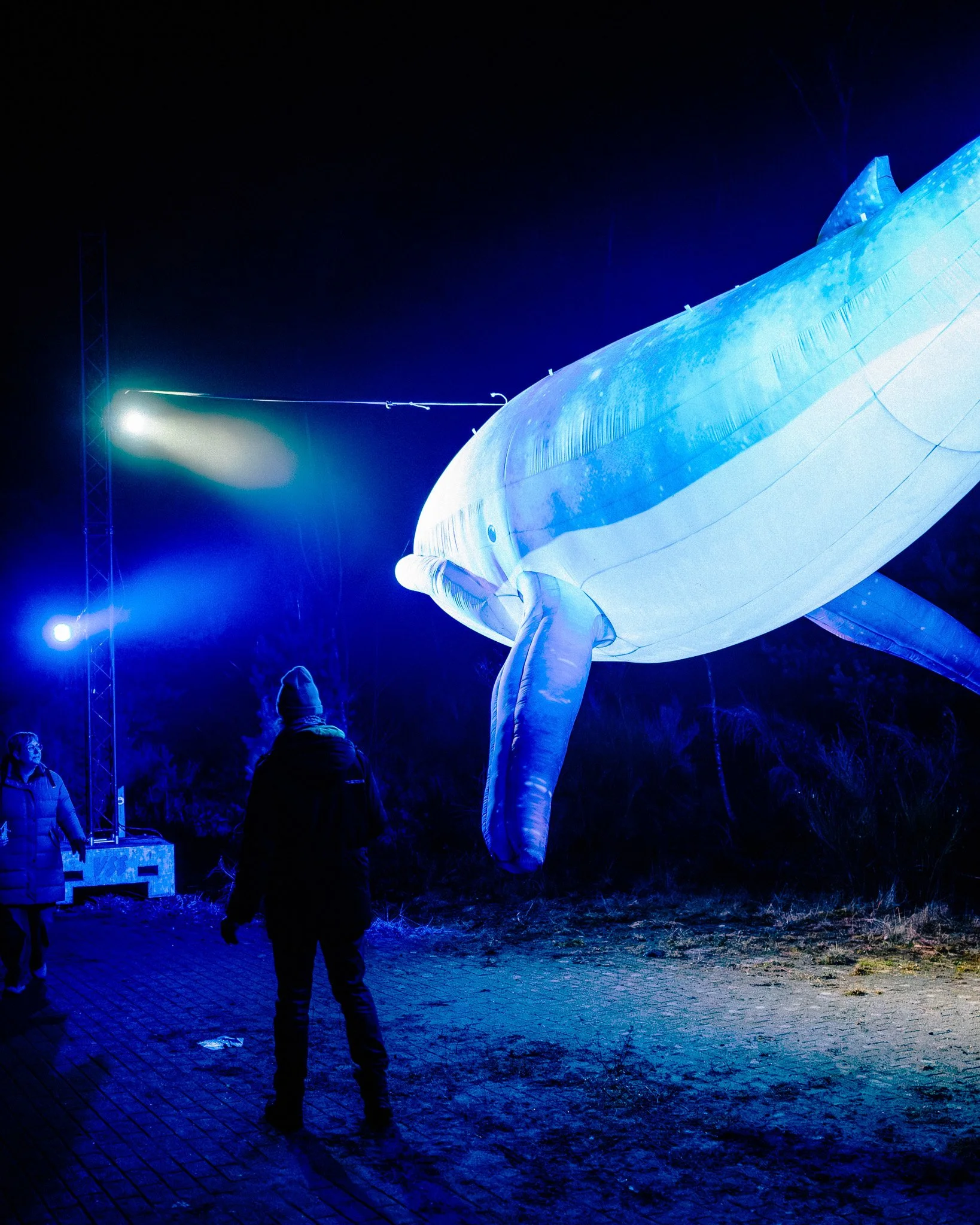 Een onderwaterdetector en een menigte mensen die naar een verlichte onderwaterinstallatie kijken tijdens de nacht.