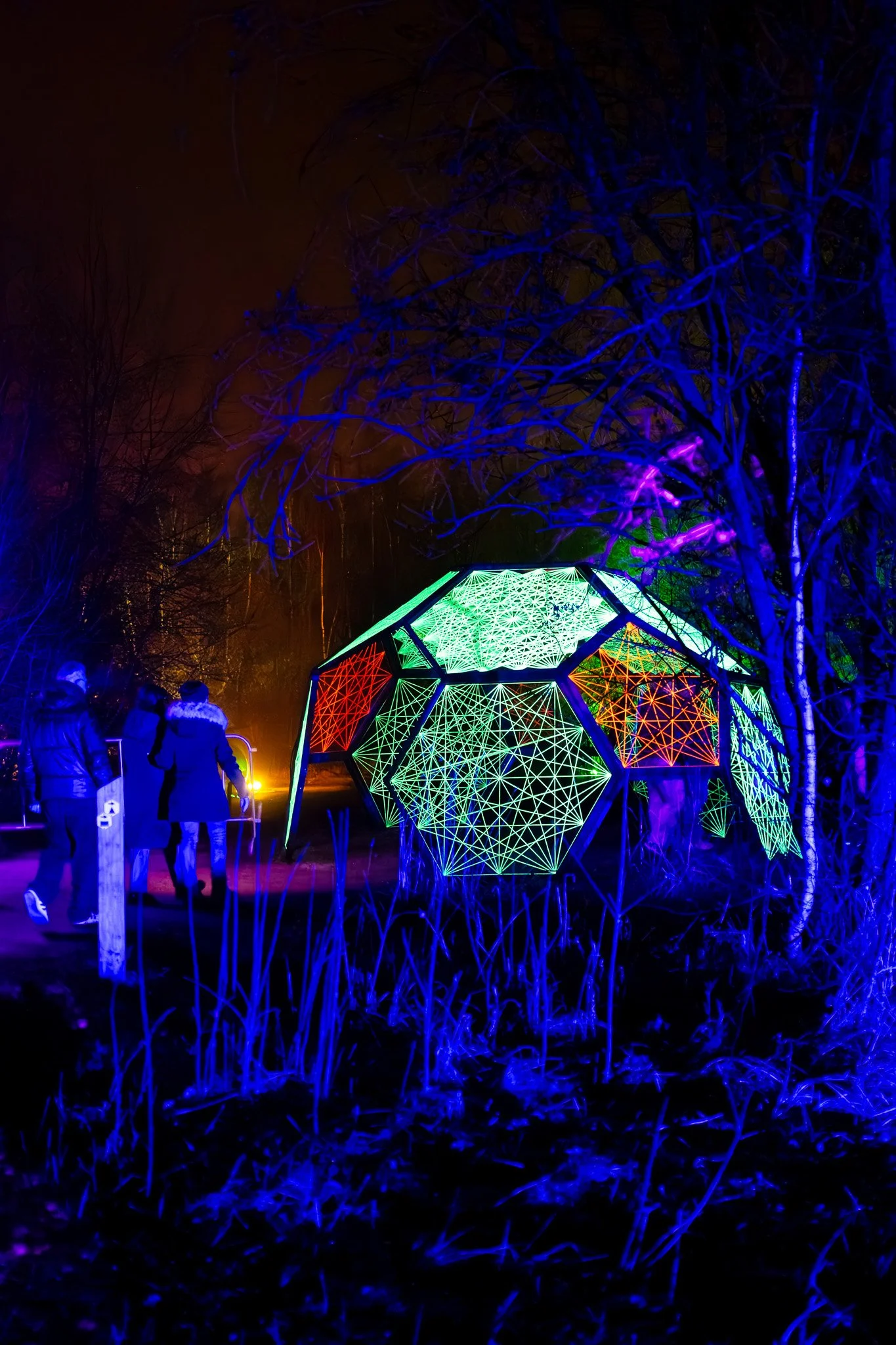 Mensen staan bij een verlichte kunstinstallatie in de nacht, met blauw, groen, rood en paarse lichtaccenten op een glinsterend, geometrisch gevormd object en een boom met blauwe verlichting.
