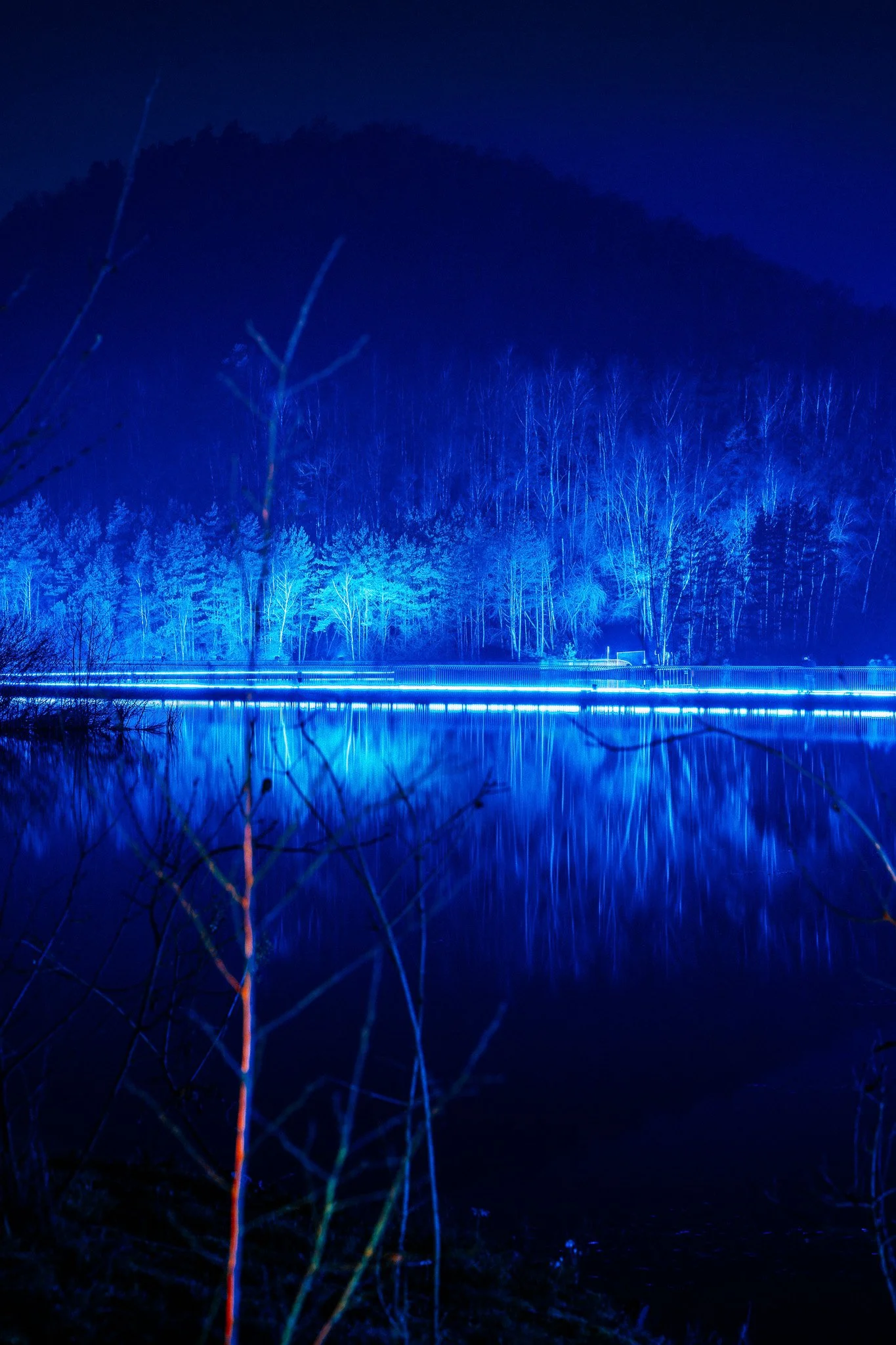 Een nachtelijk landschap met een meer dat wordt verlicht door felblauwe lichten, omgeven door bomen op de achtergrond en takken op de voorgrond.