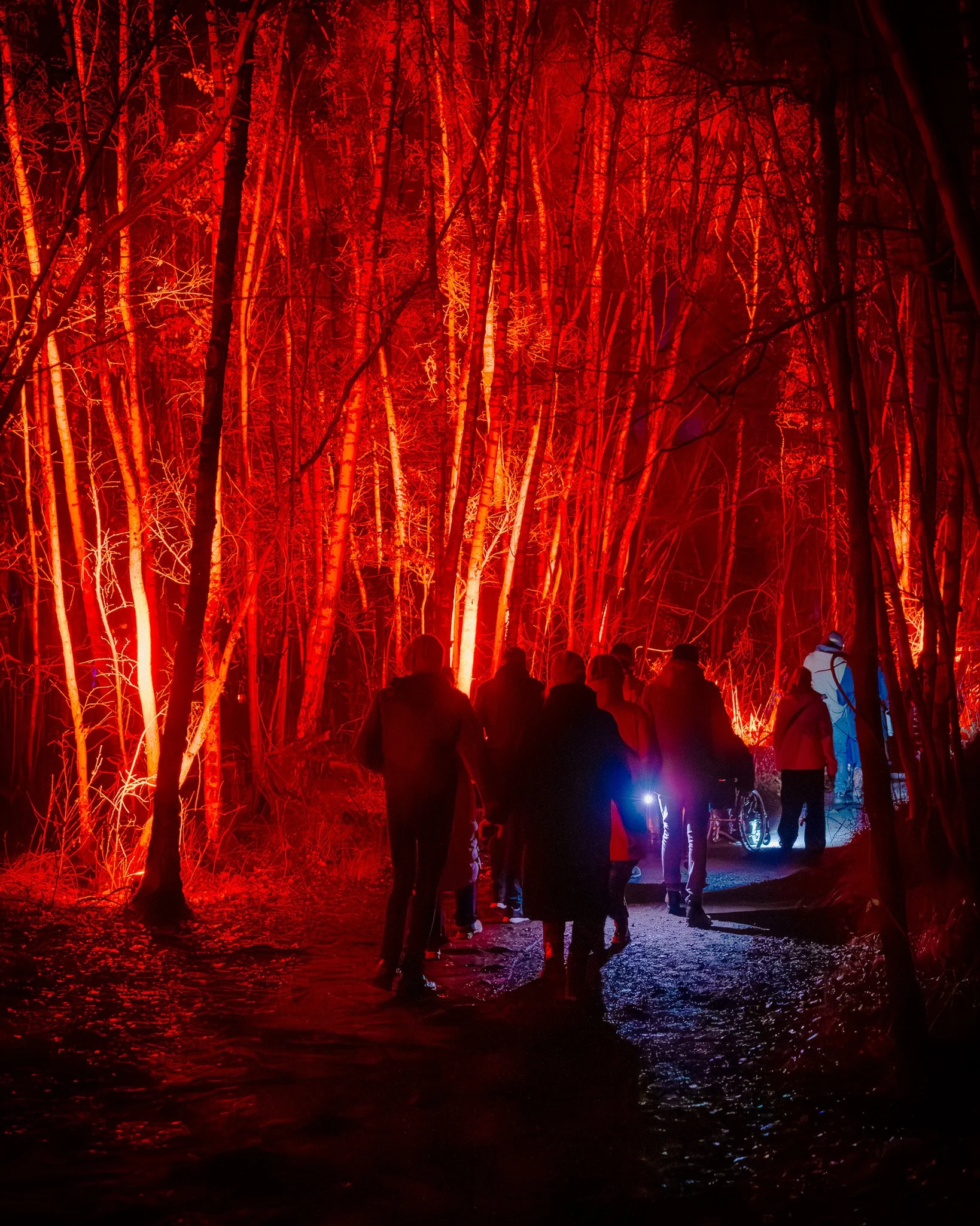 Mensen wandelen langs een bos dat met rode lichten is verlicht, met water op de voorgrond die het licht weerkaatst.