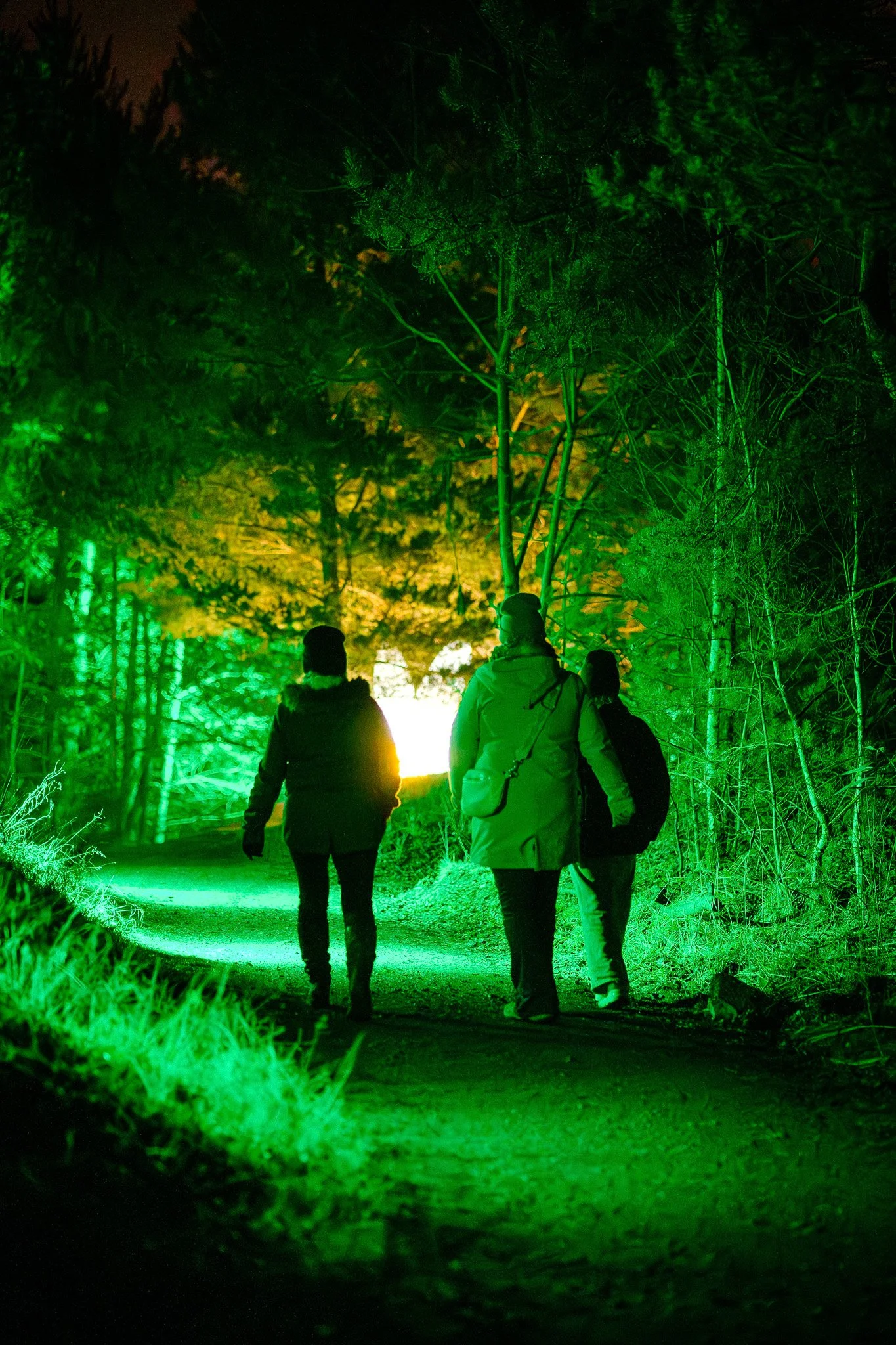 Drie mensen wandelen door een bos dat verlicht is met groene lichten, nachtelijk scene.