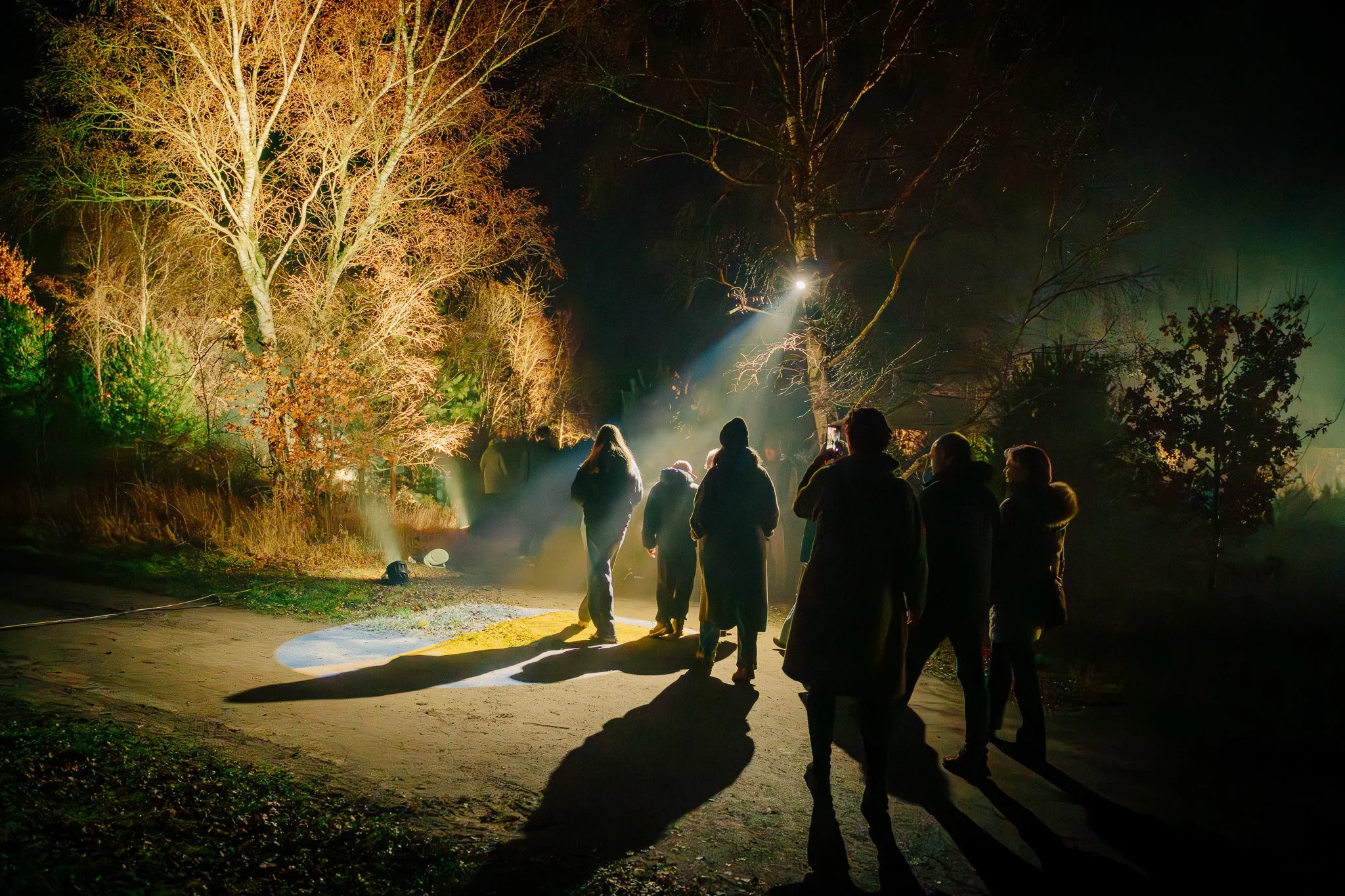 Een groep mensen staat buiten in de duisternis bij kunstlicht, mogelijk een bos of park, met bomen op de achtergrond.
