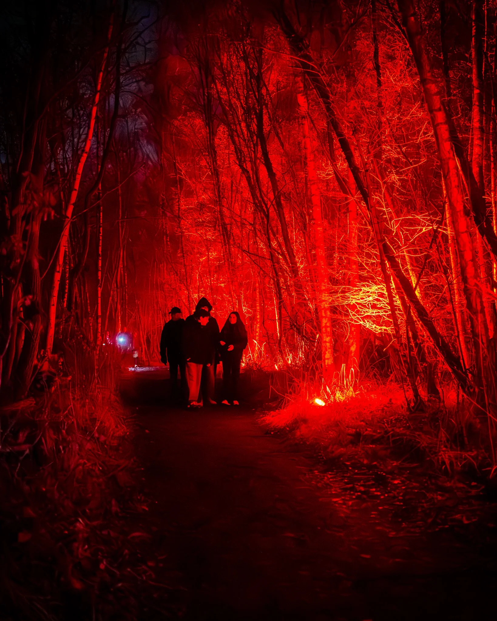 Mensen wandelen in een bos dat verlicht is met rood licht, waarschijnlijk door een lichtinstallatie of een geluids- en lichtshow.