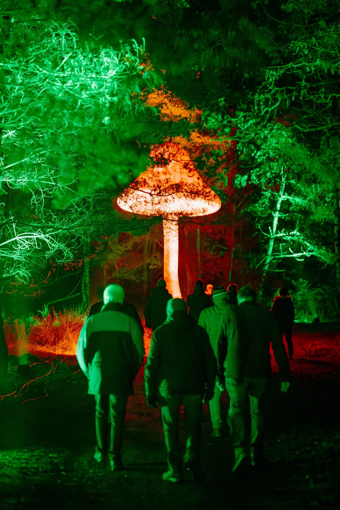 Mensen wandelen door een tuin 's avonds met gekleurde verlichting, waaronder groen, oranje en rood, die een grote paddenstoelvormige lamp verlichten.