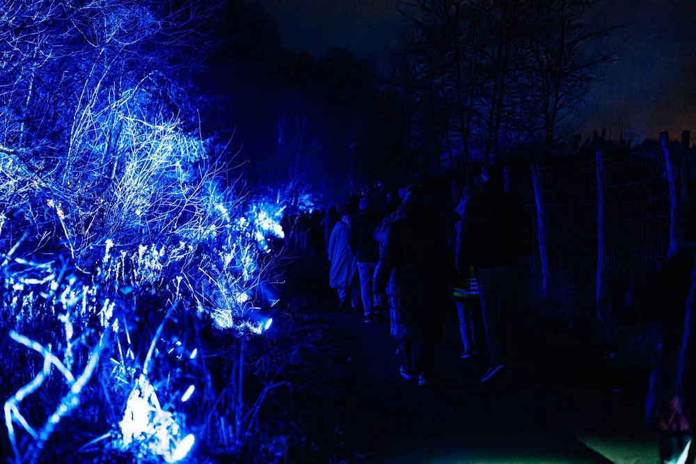 Foto 43: Watergedeelte van Luminoctis met blauwe lichtlijnen, reflecties, brugbeelden en installaties.