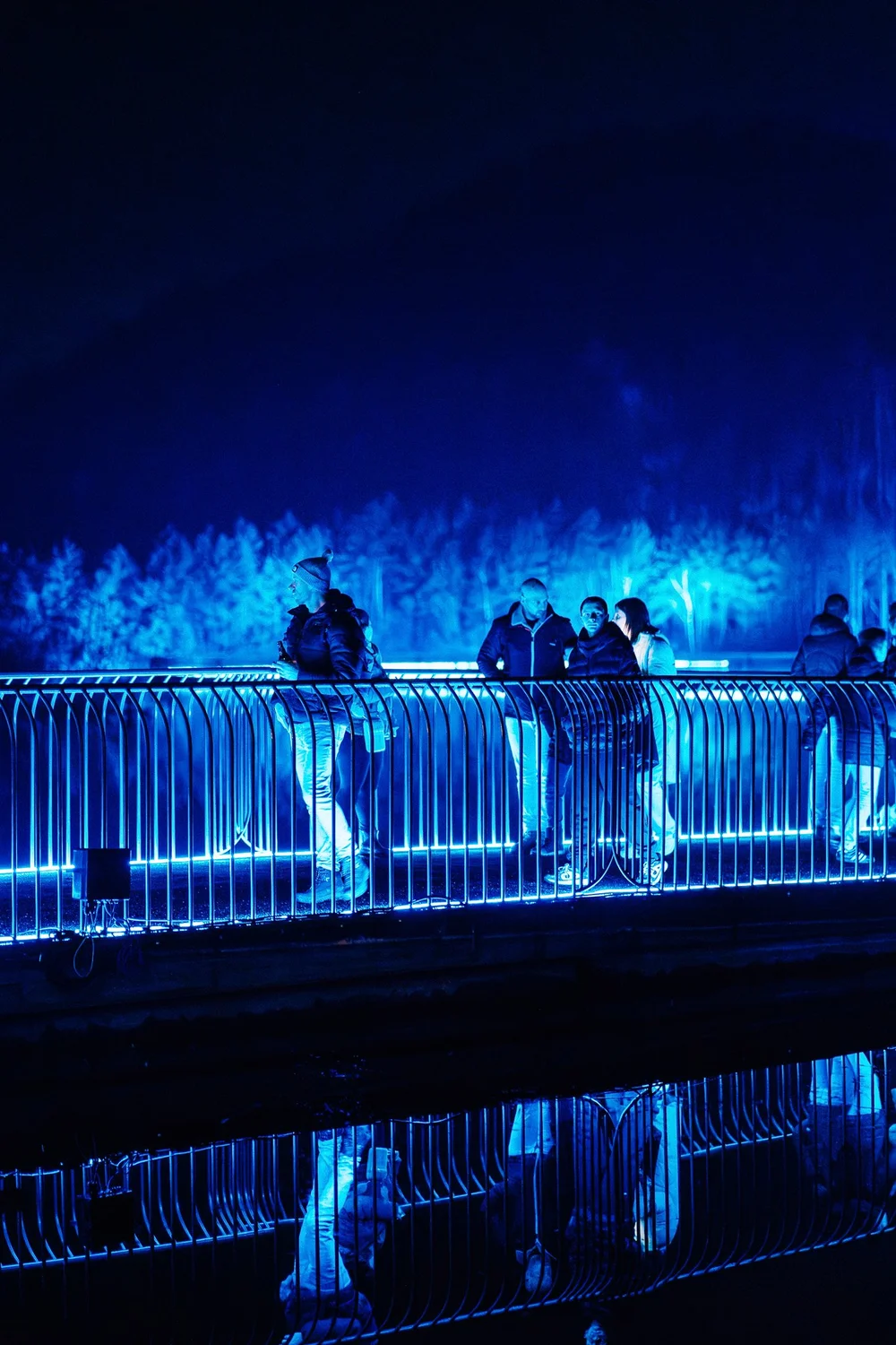 Foto 61: Watergedeelte van Luminoctis met blauwe lichtlijnen, reflecties, brugbeelden en installaties.