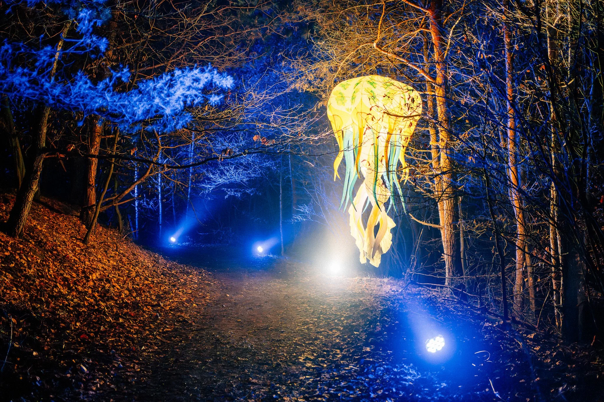 Verlichte schooltering in een bos met boomtakken, blauwe en gele verlichting, herfstbladeren op de grond.
